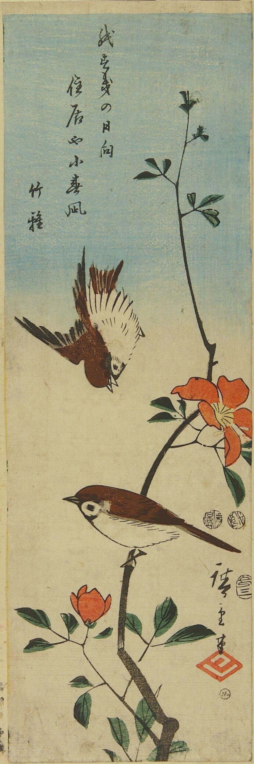 Two Sparrows on Flowering Branches