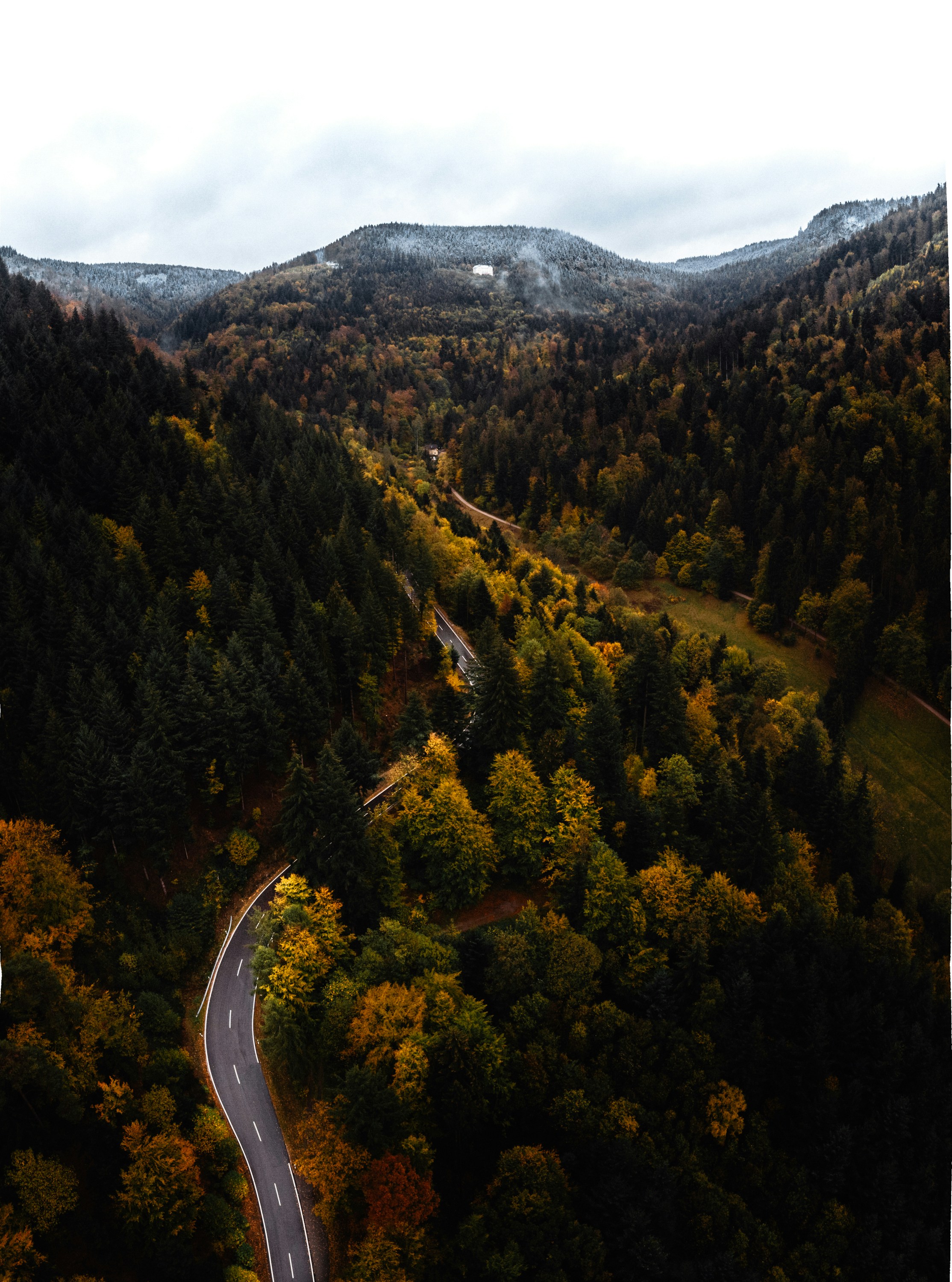 Winding Road in Autumn Mountains