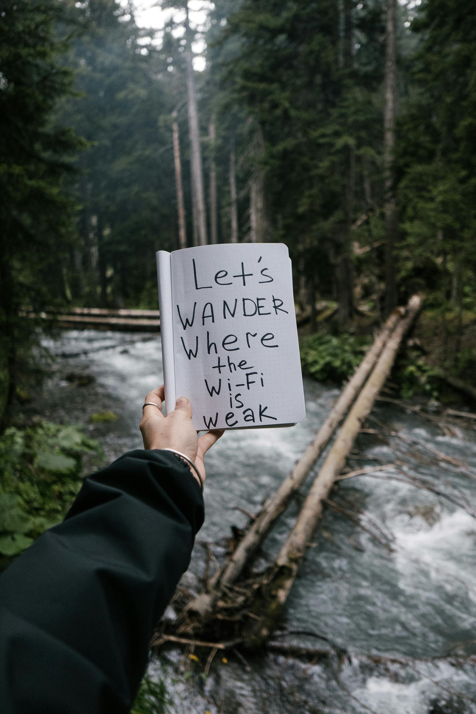 Wander Quote Over Forest Stream