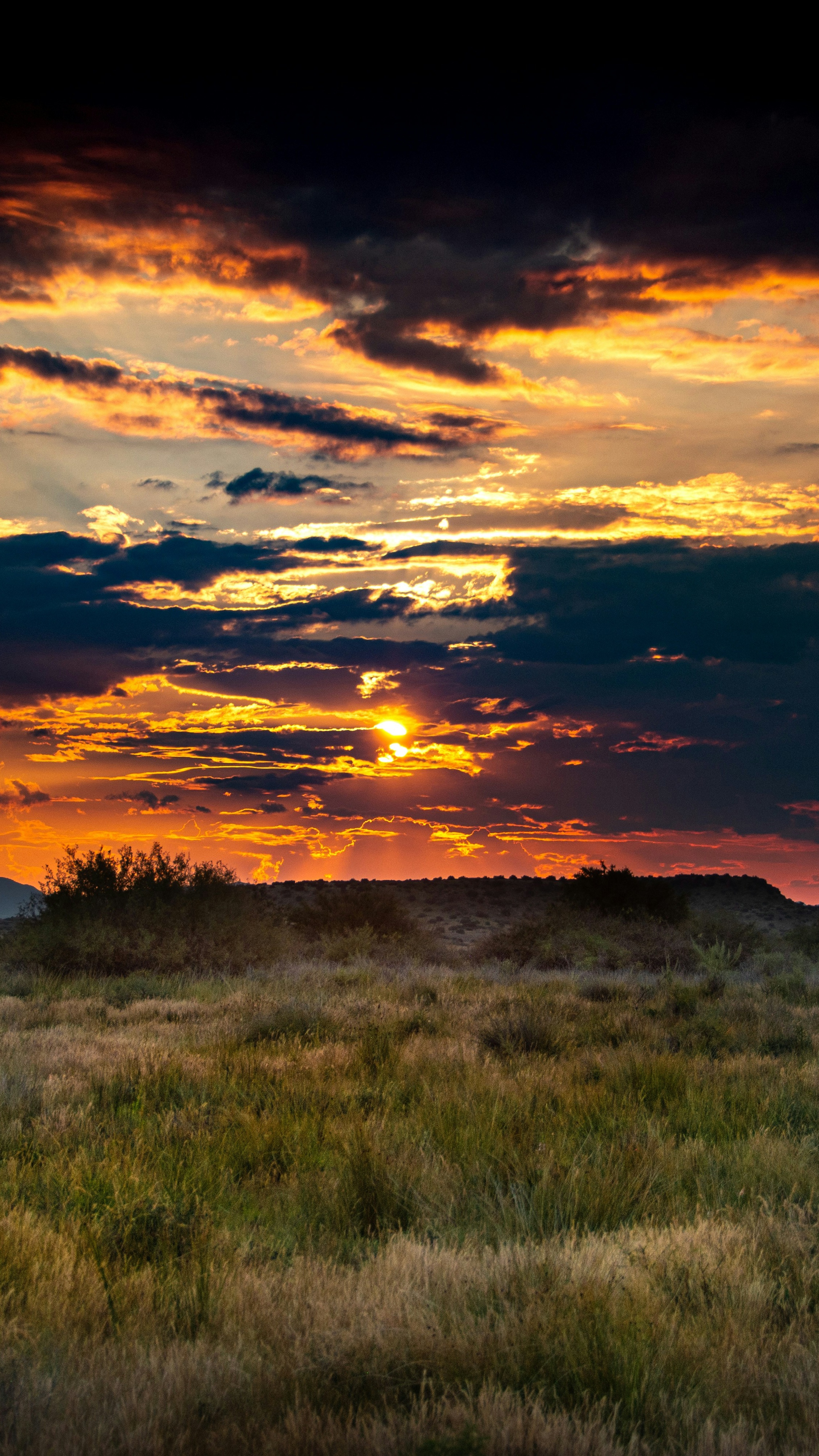 Grassland Sunset Landscape