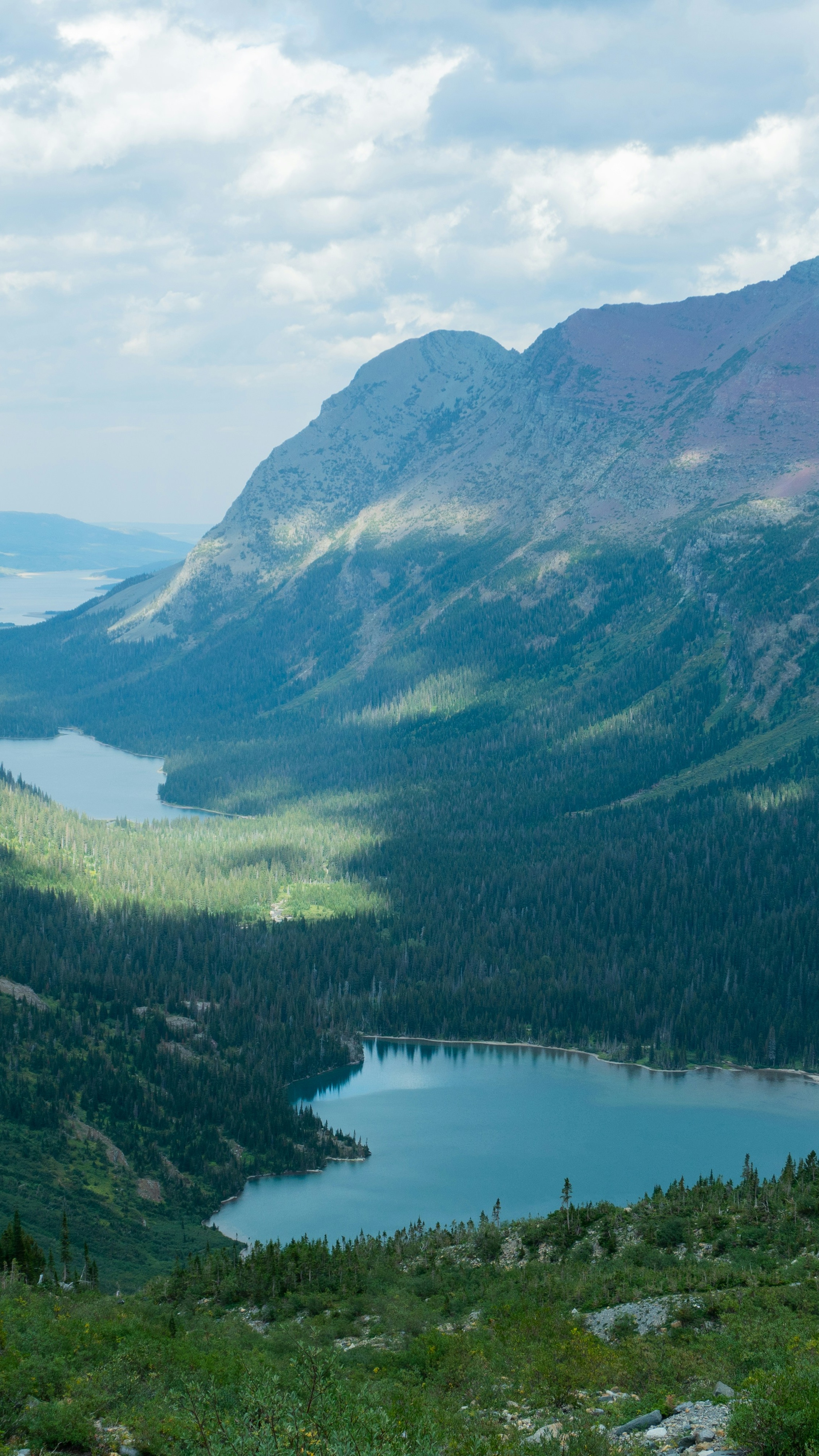 Landscapes