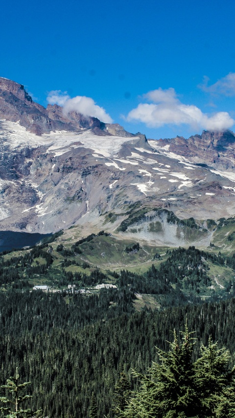 Snow Capped Mountain Forest Landscape