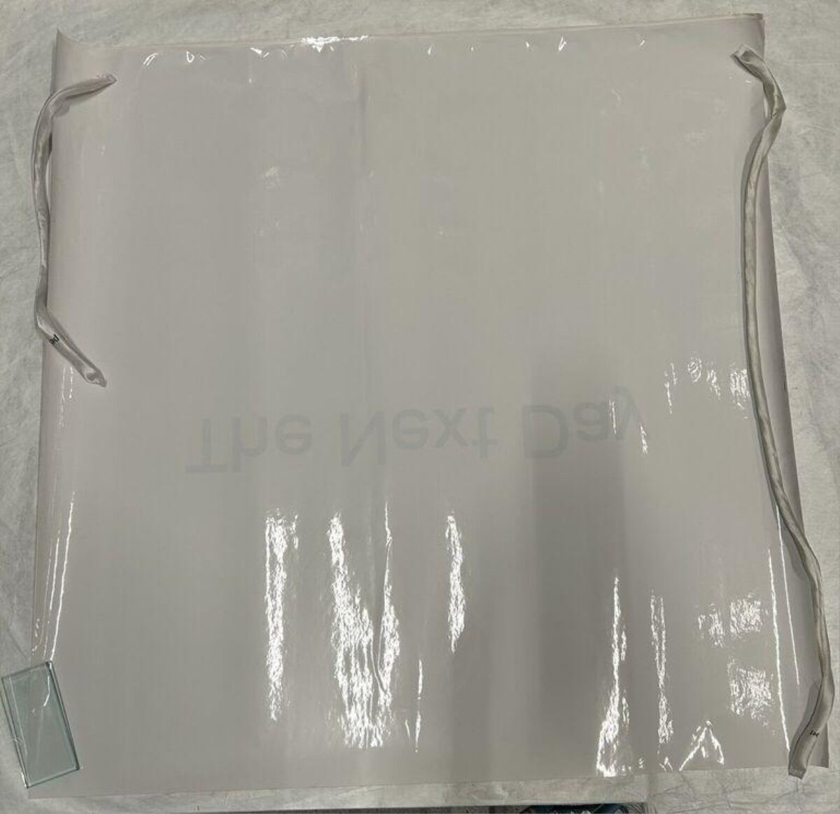 Plain Tote in Plastic Packaging