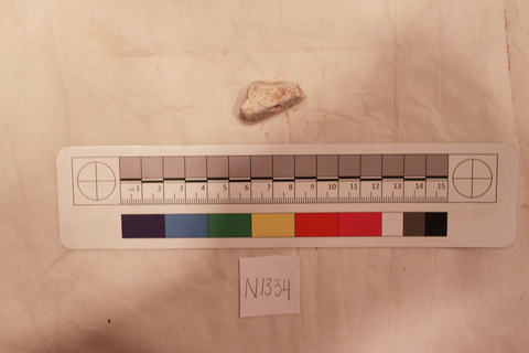 Archaeological Specimen N1334