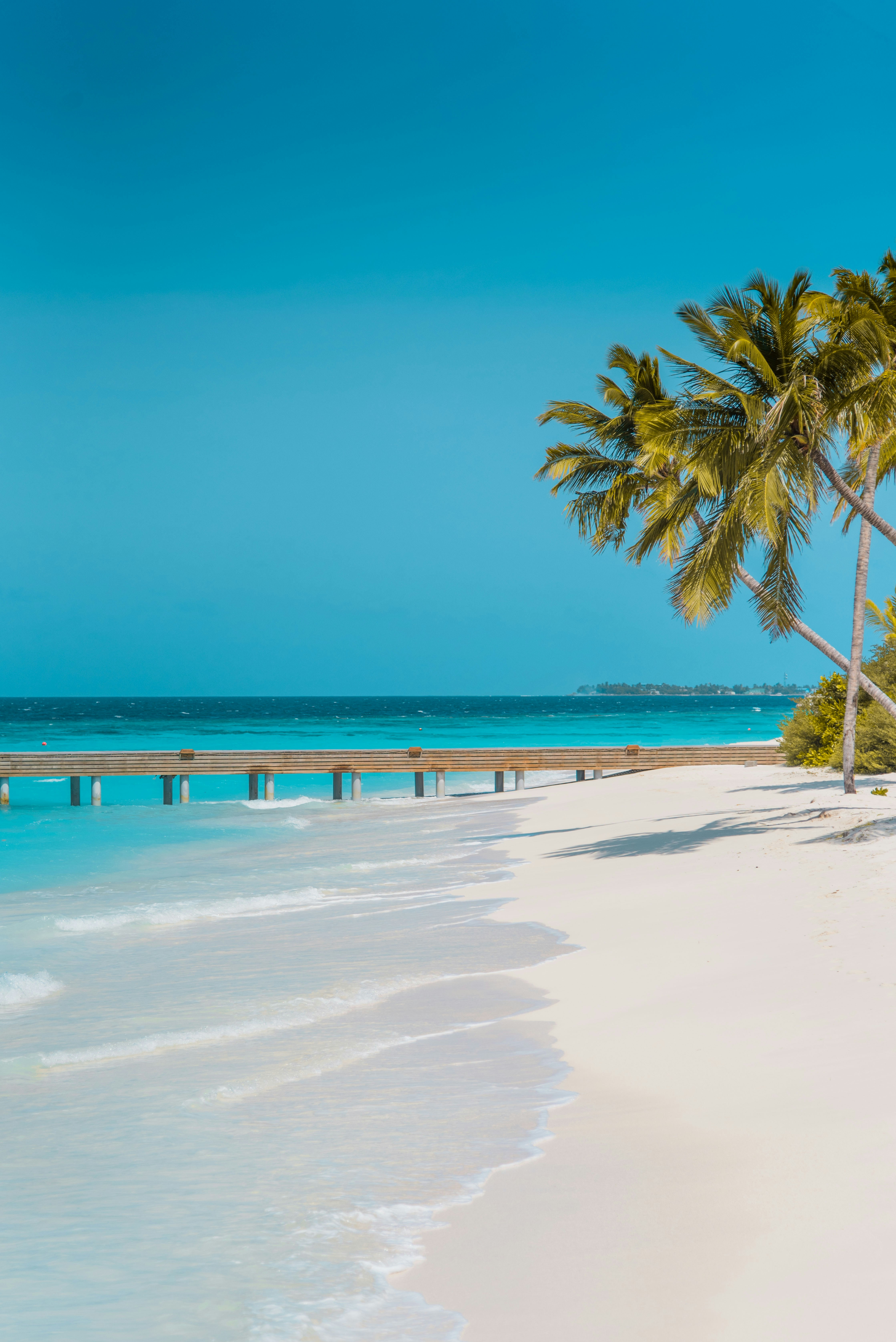 Tropical Beach with Wooden Pier