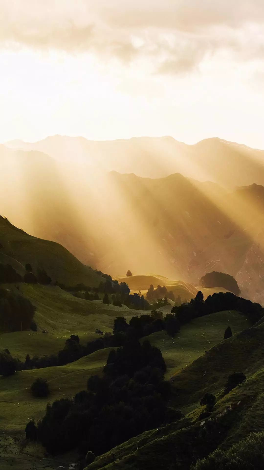 Landscapes