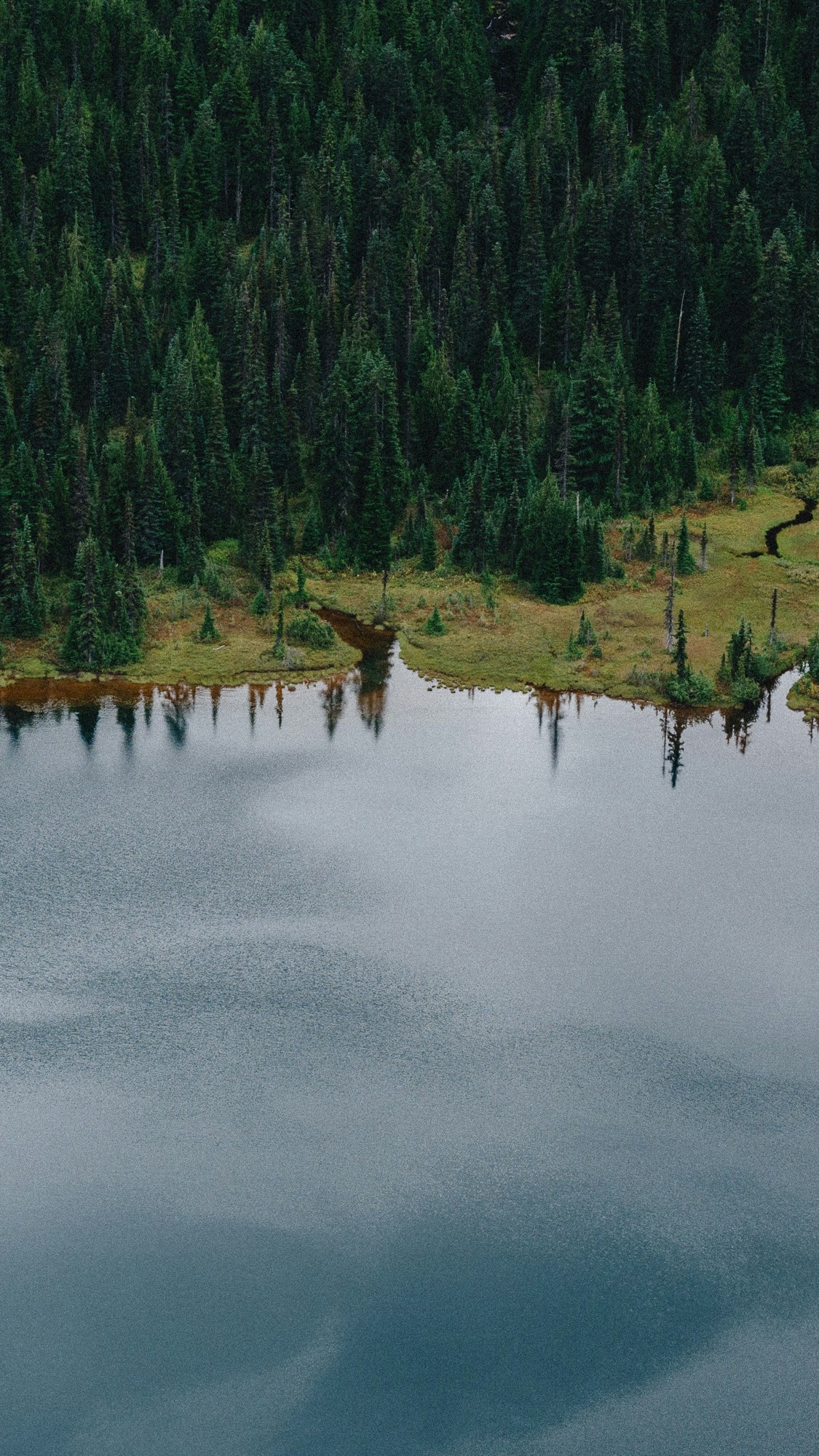 Landscapes