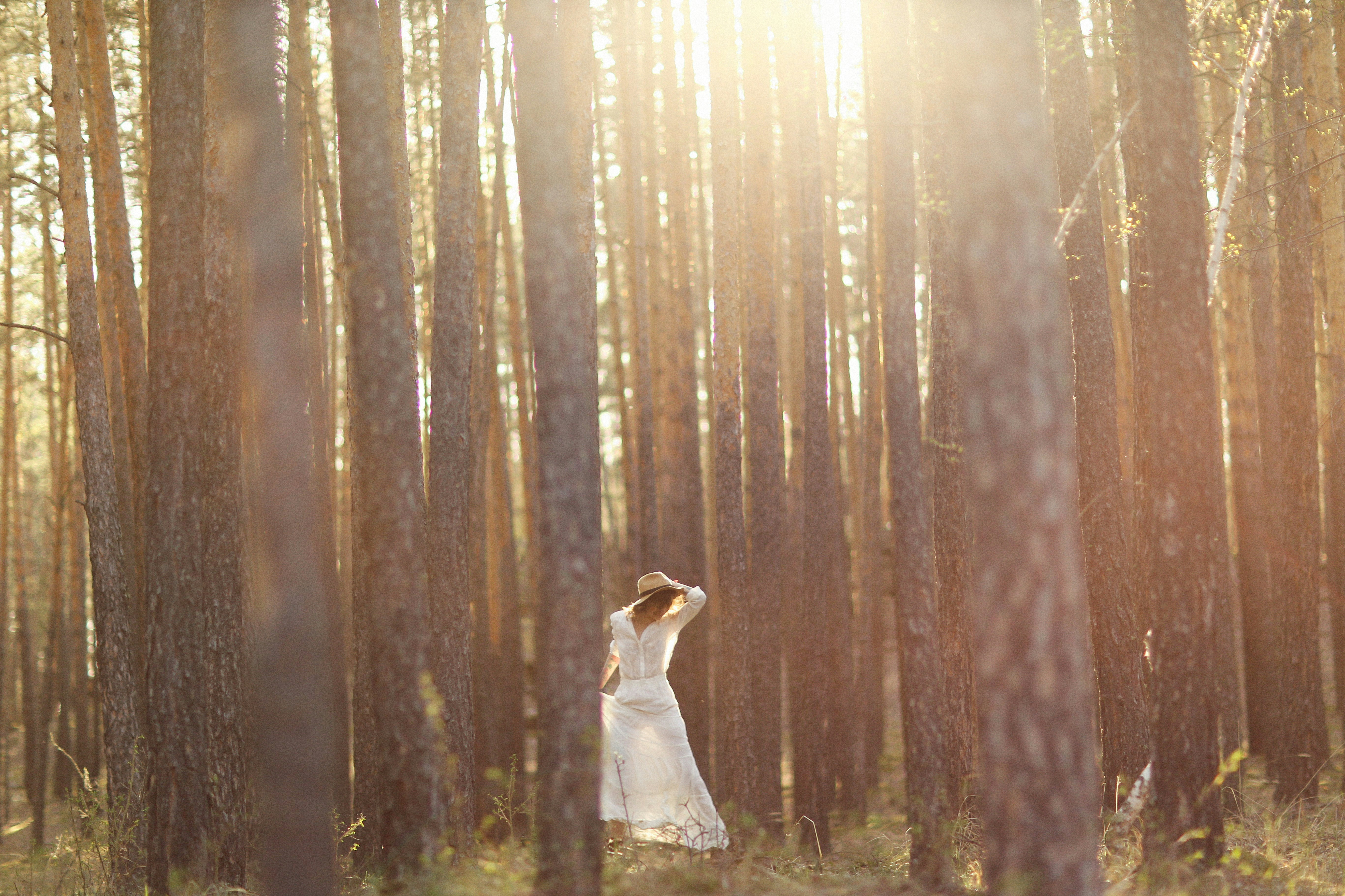 Woman Walking in Sunlit Pine Forest