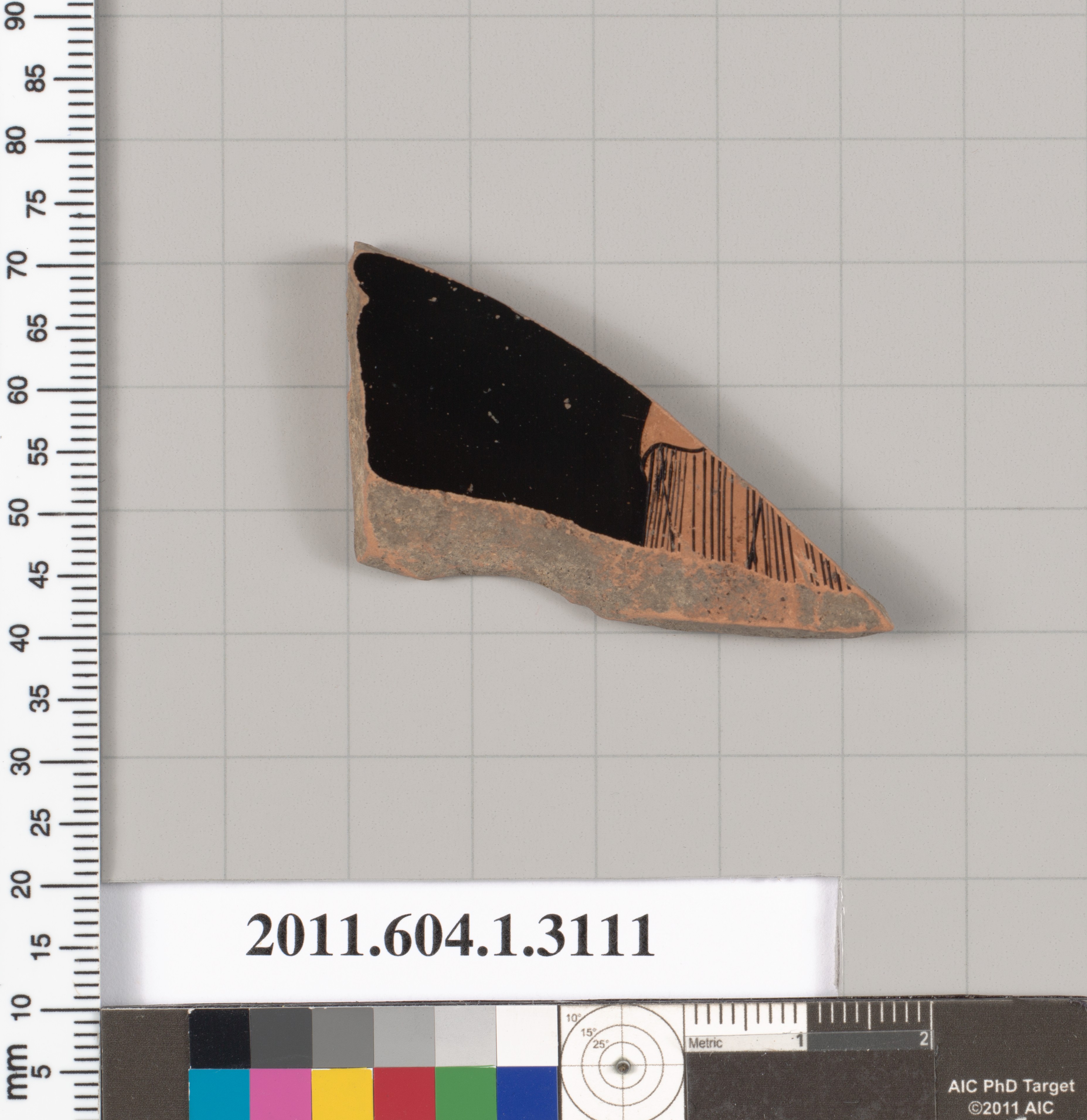 Ancient Pottery Fragment