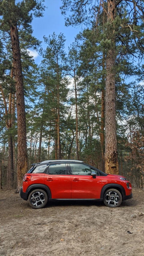 Red SUV Parked in Pine Forest