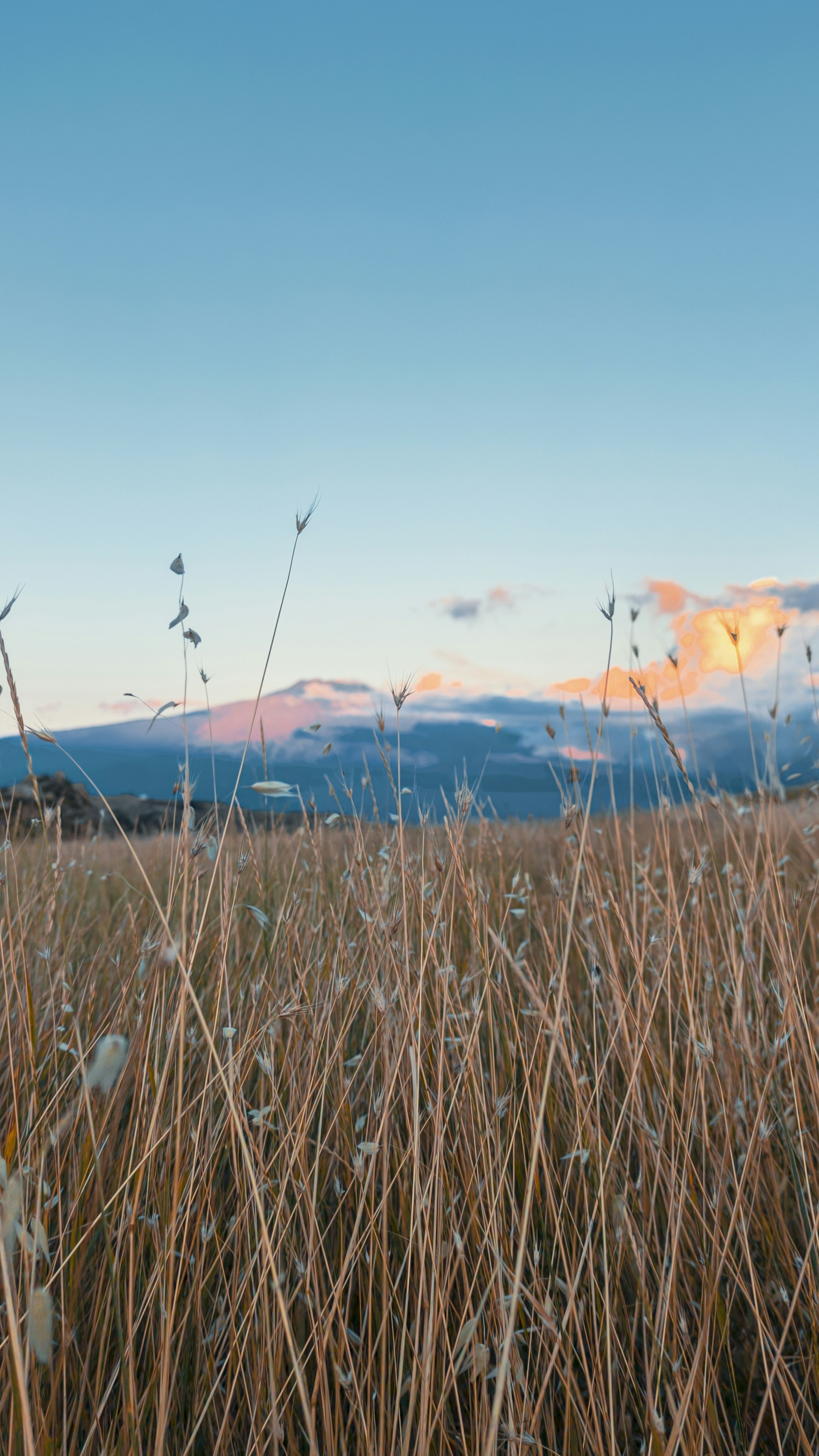 Dry Grass Field and Distant Mountain at Dusk