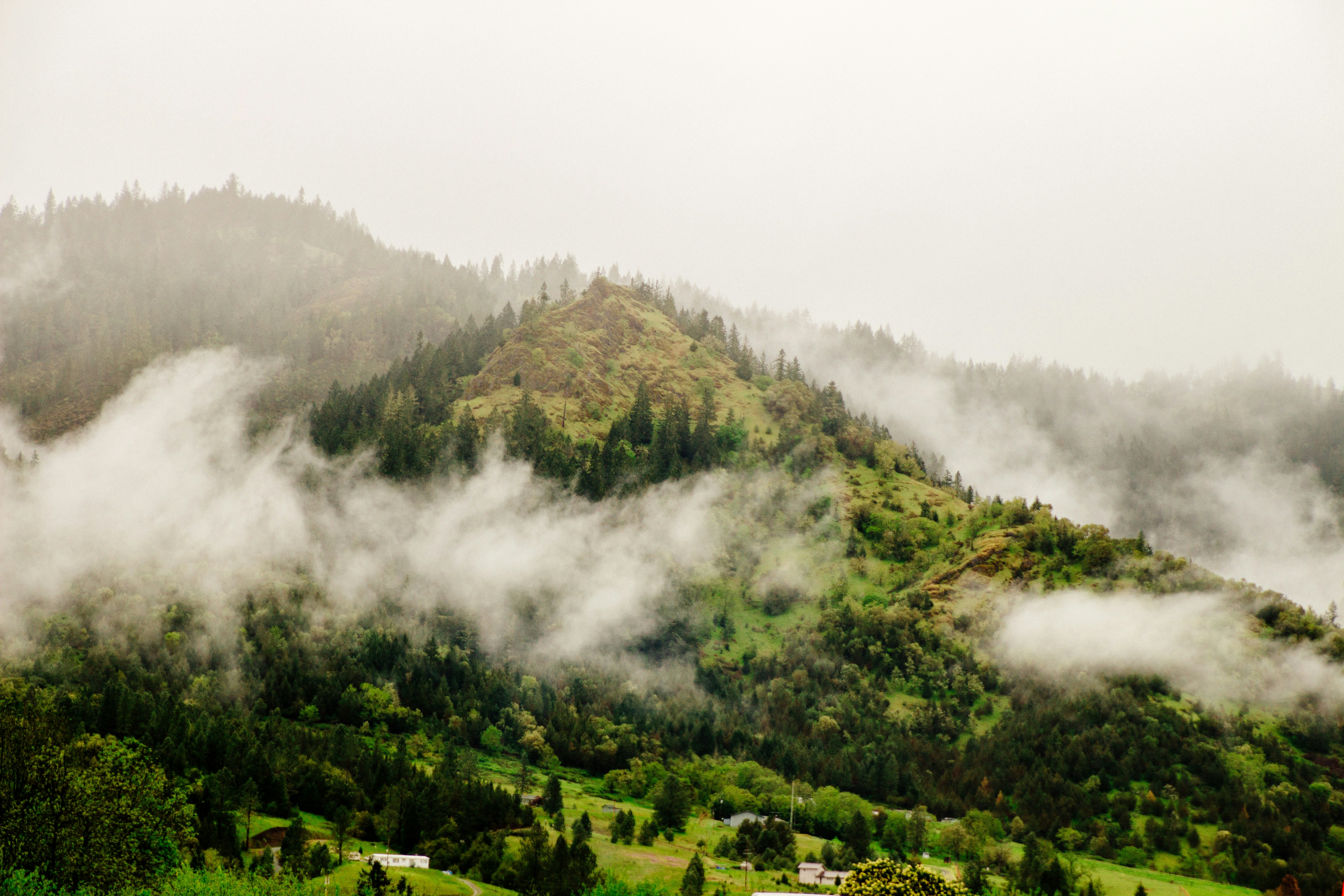 Misty Mountain Forest Landscape