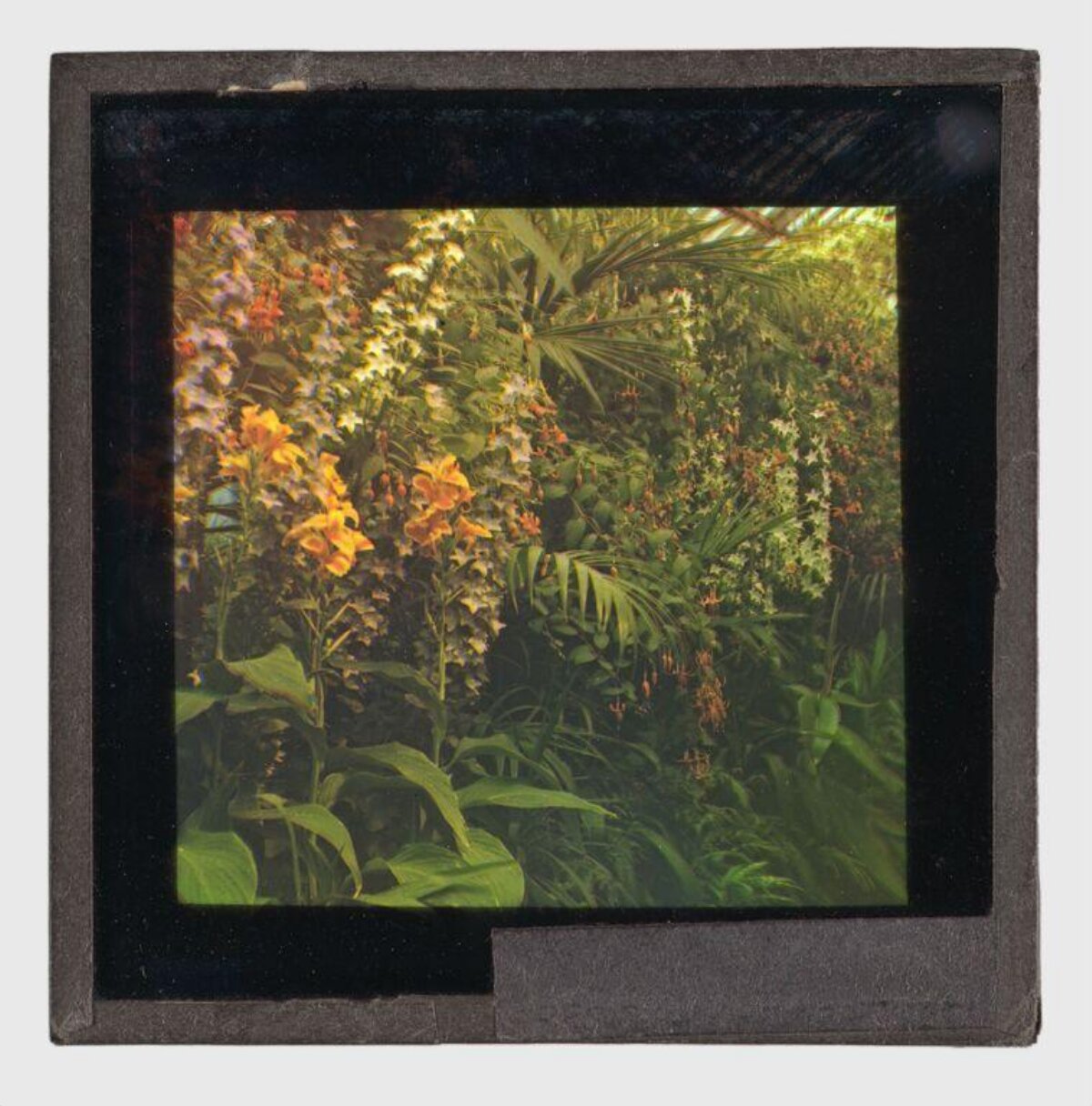 Vintage Dense Flower Garden View
