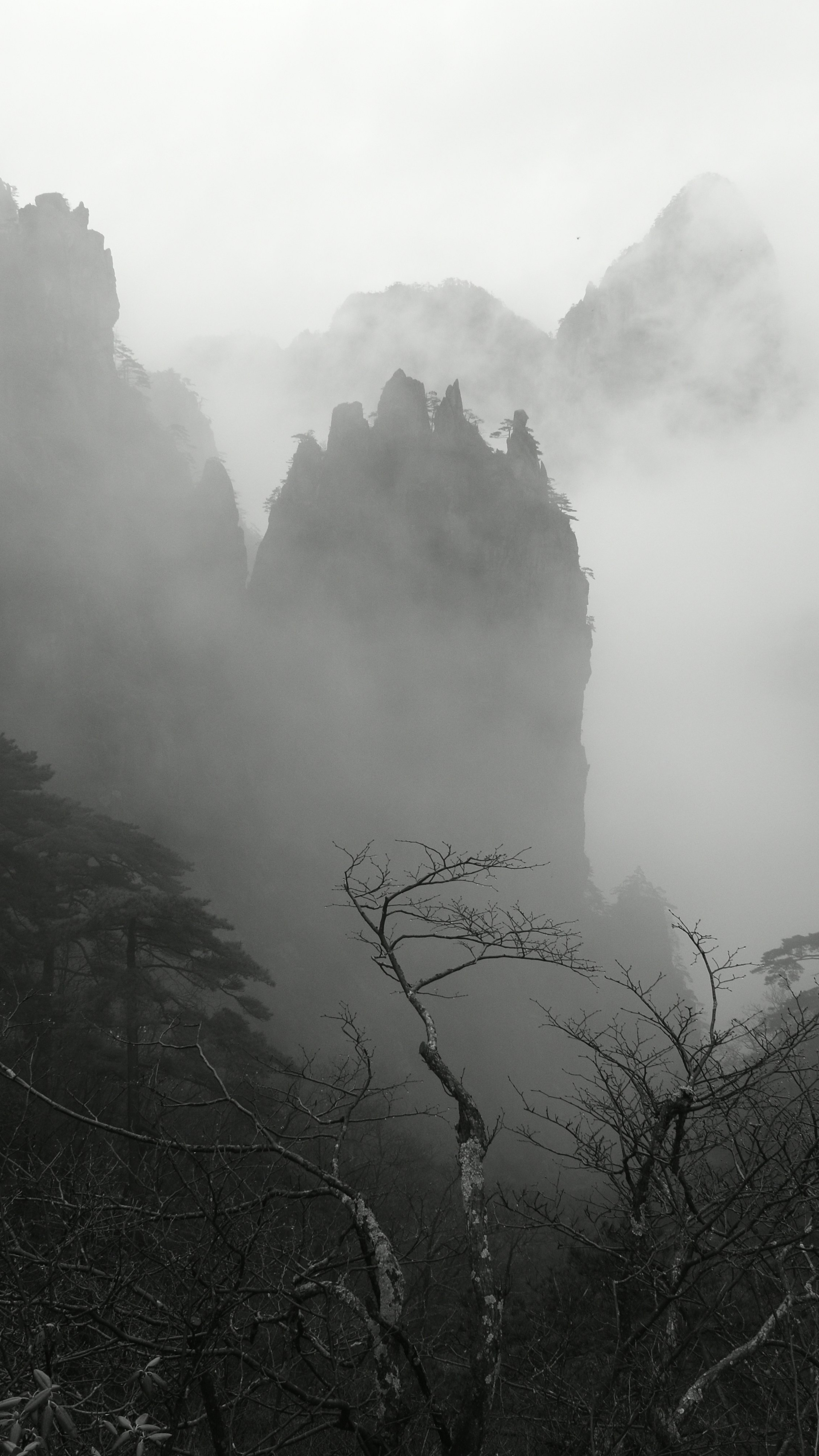 Wallpapers
