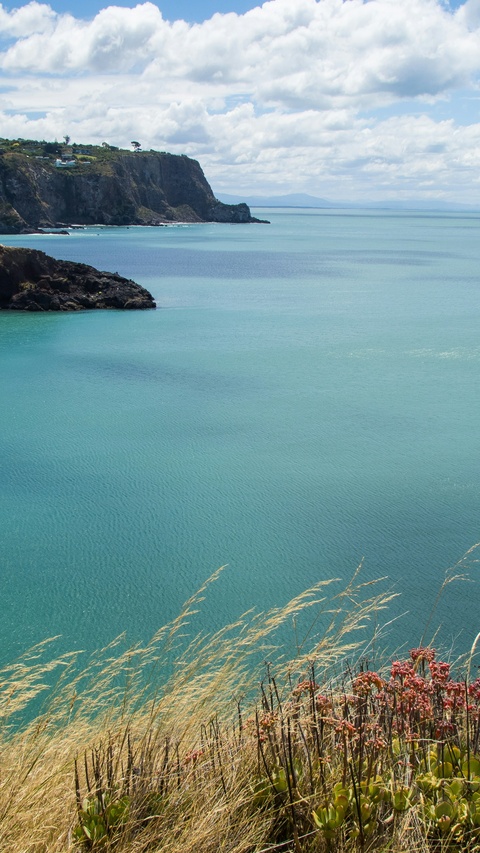 Coastal Turquoise Ocean View