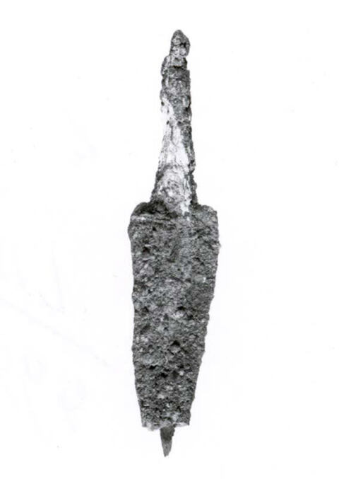 Porous Elongated Rock Specimen