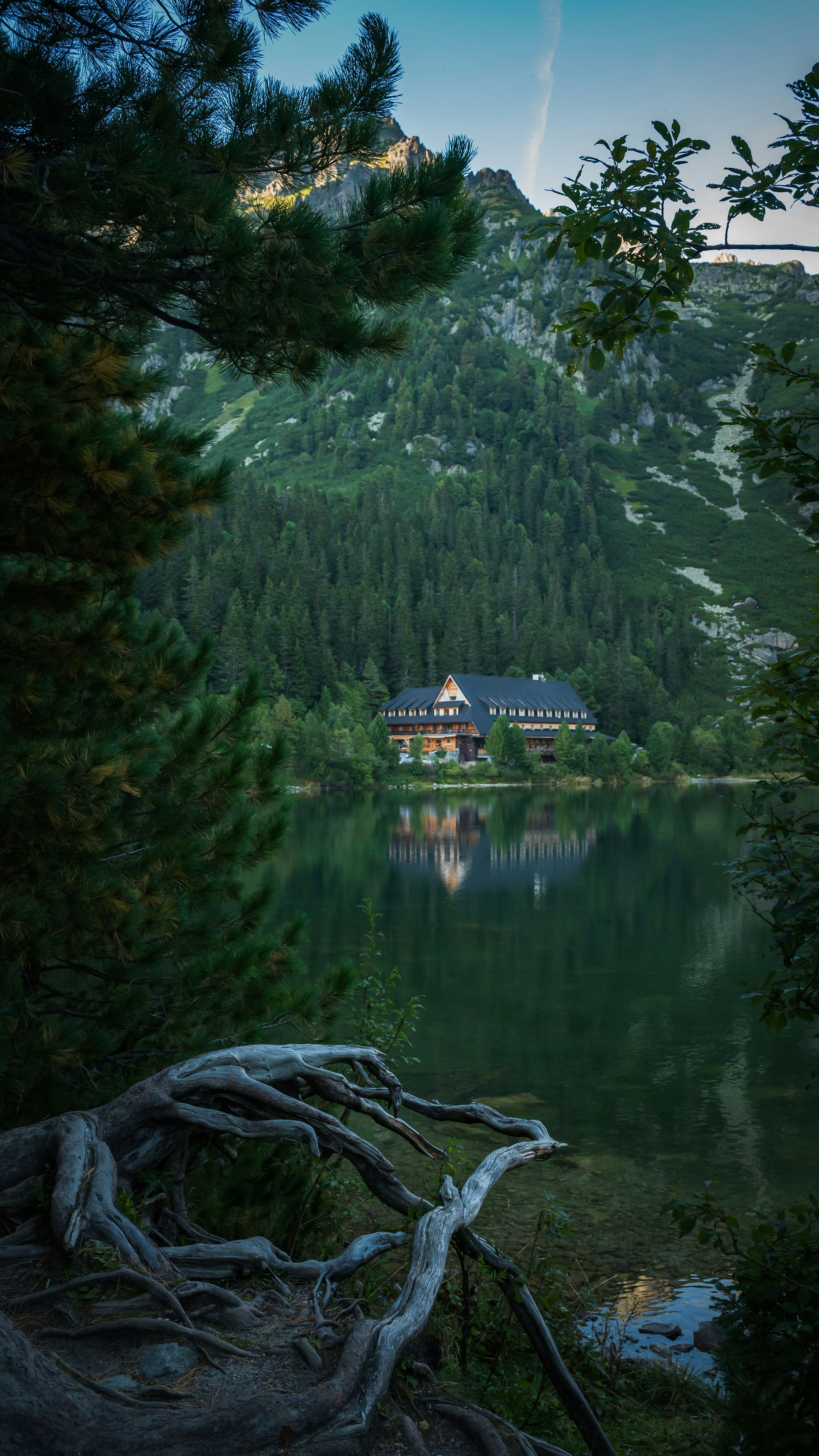 Landscapes