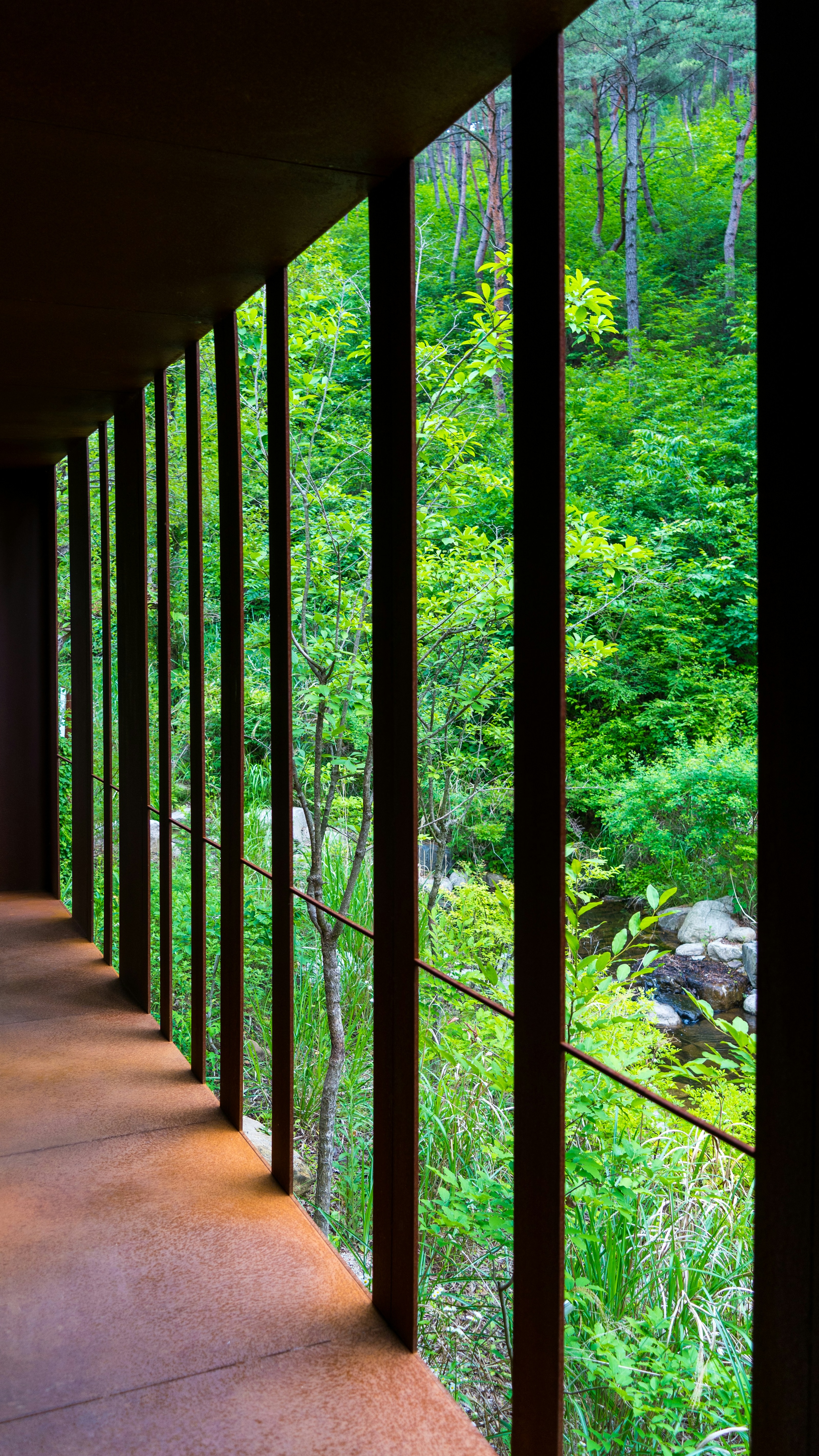 Covered Walkway Overlooking Green Forest