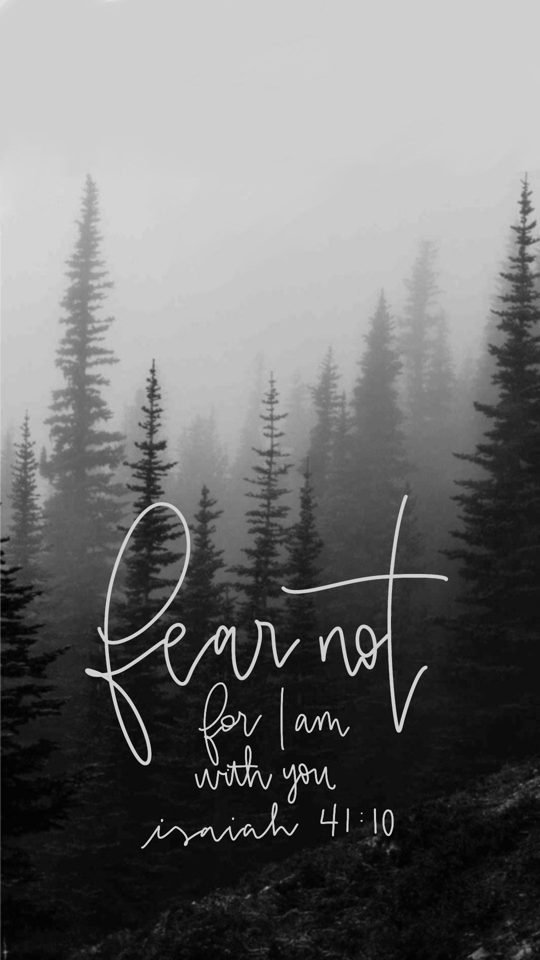 Fear Not Bible Verse on Foggy Pine Forest