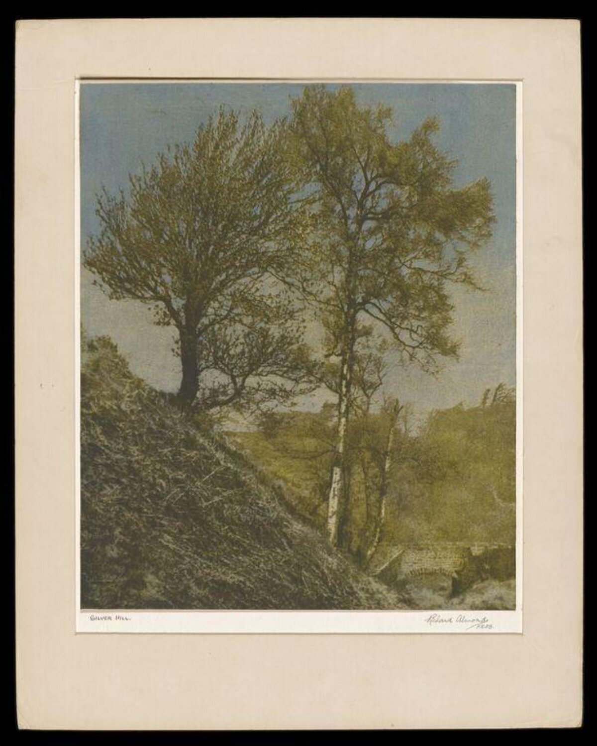 Silver Hill Landscape