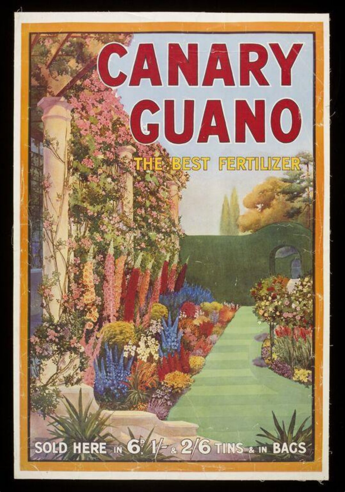 Vintage Canary Guano Fertilizer Ad