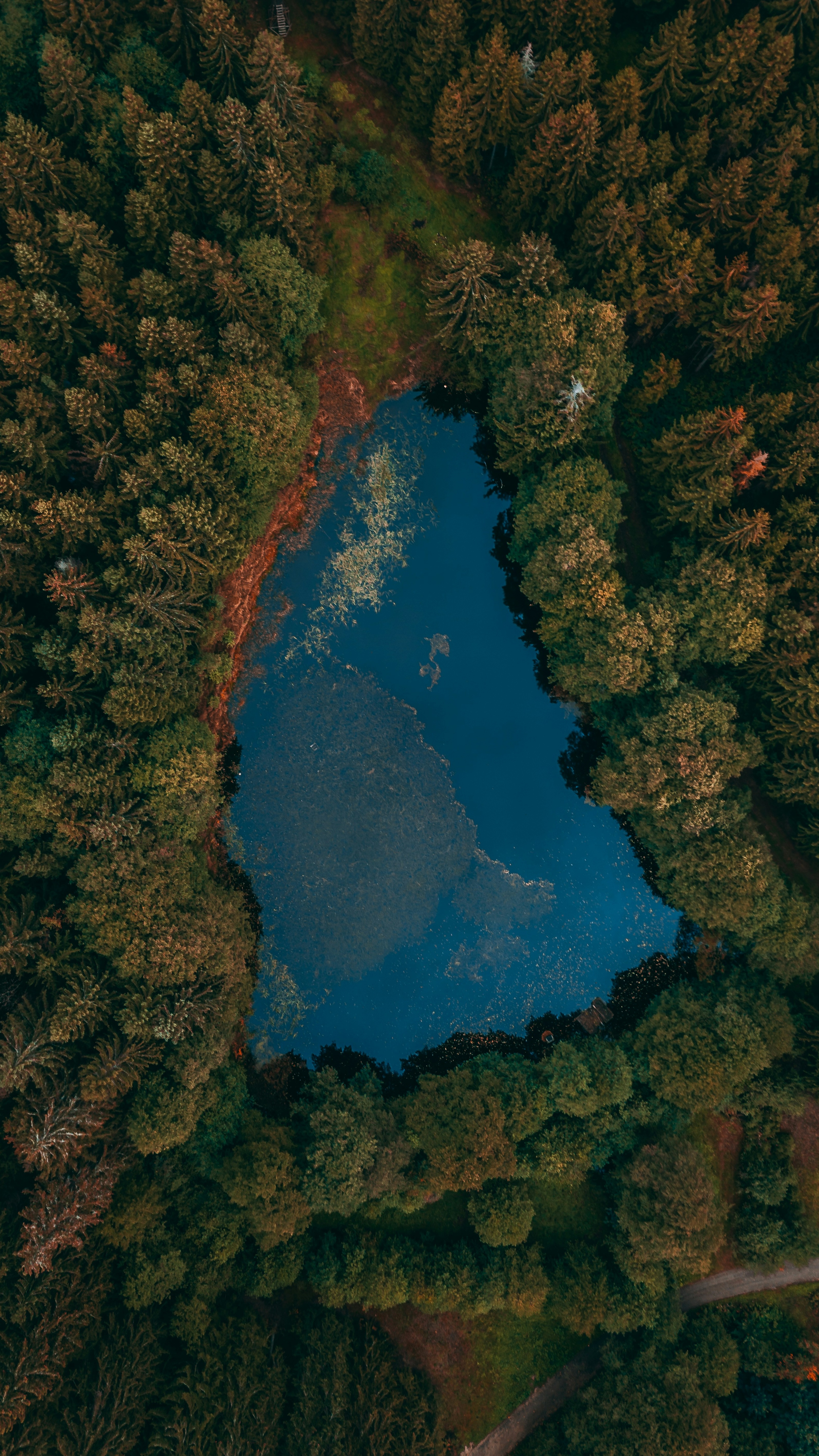 Landscapes