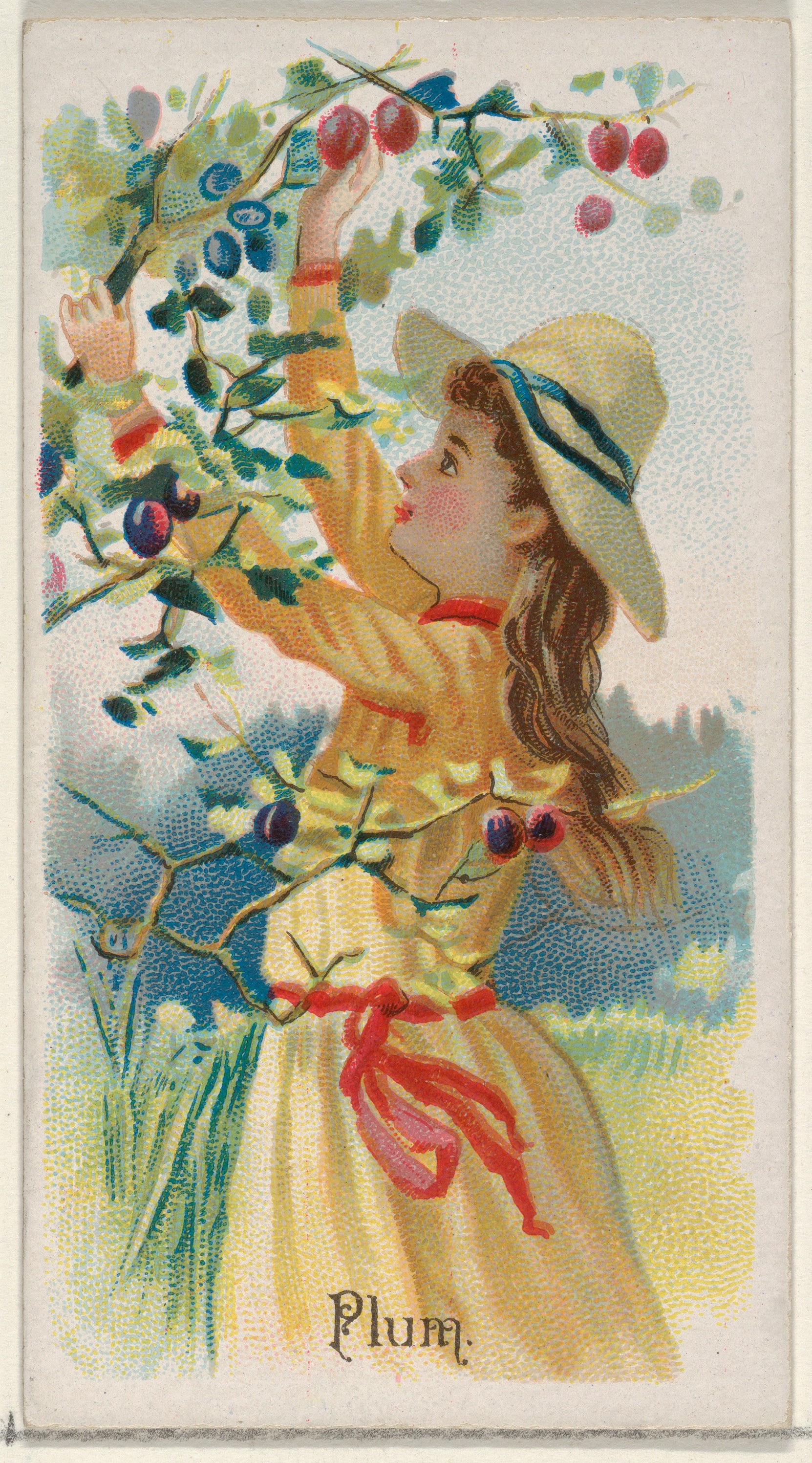 Girl Picking Plums