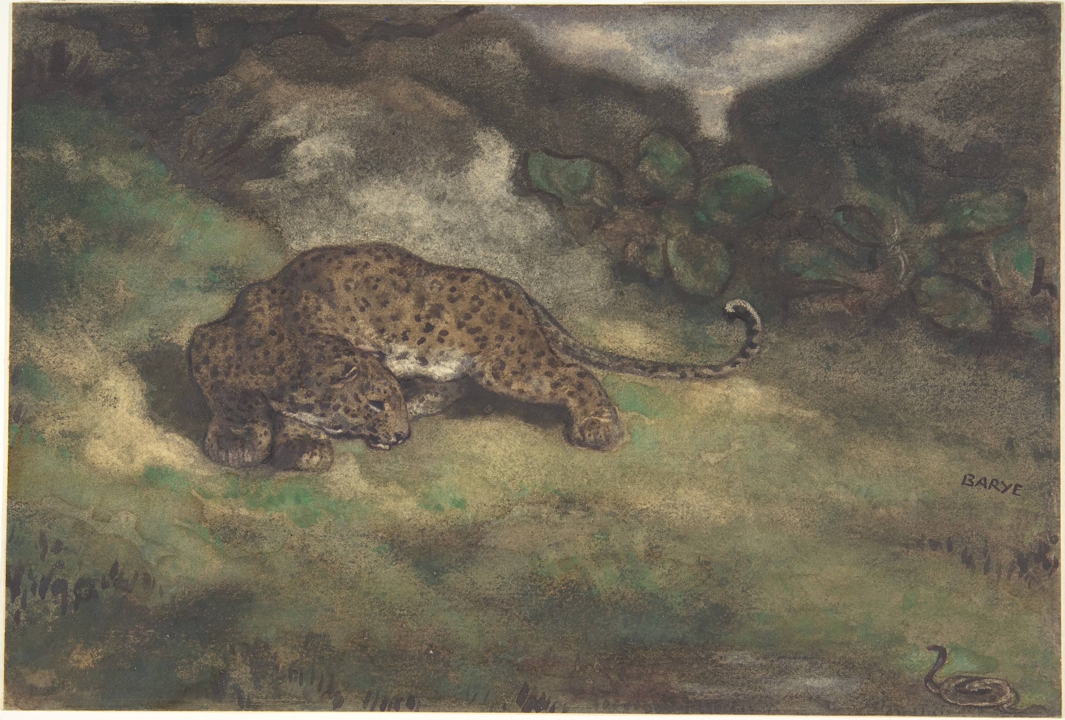 Crouching Leopard in Wilderness