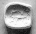 Close-up of USB-C Port