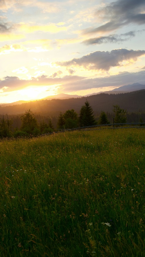 Sunset Over Mountain Meadow