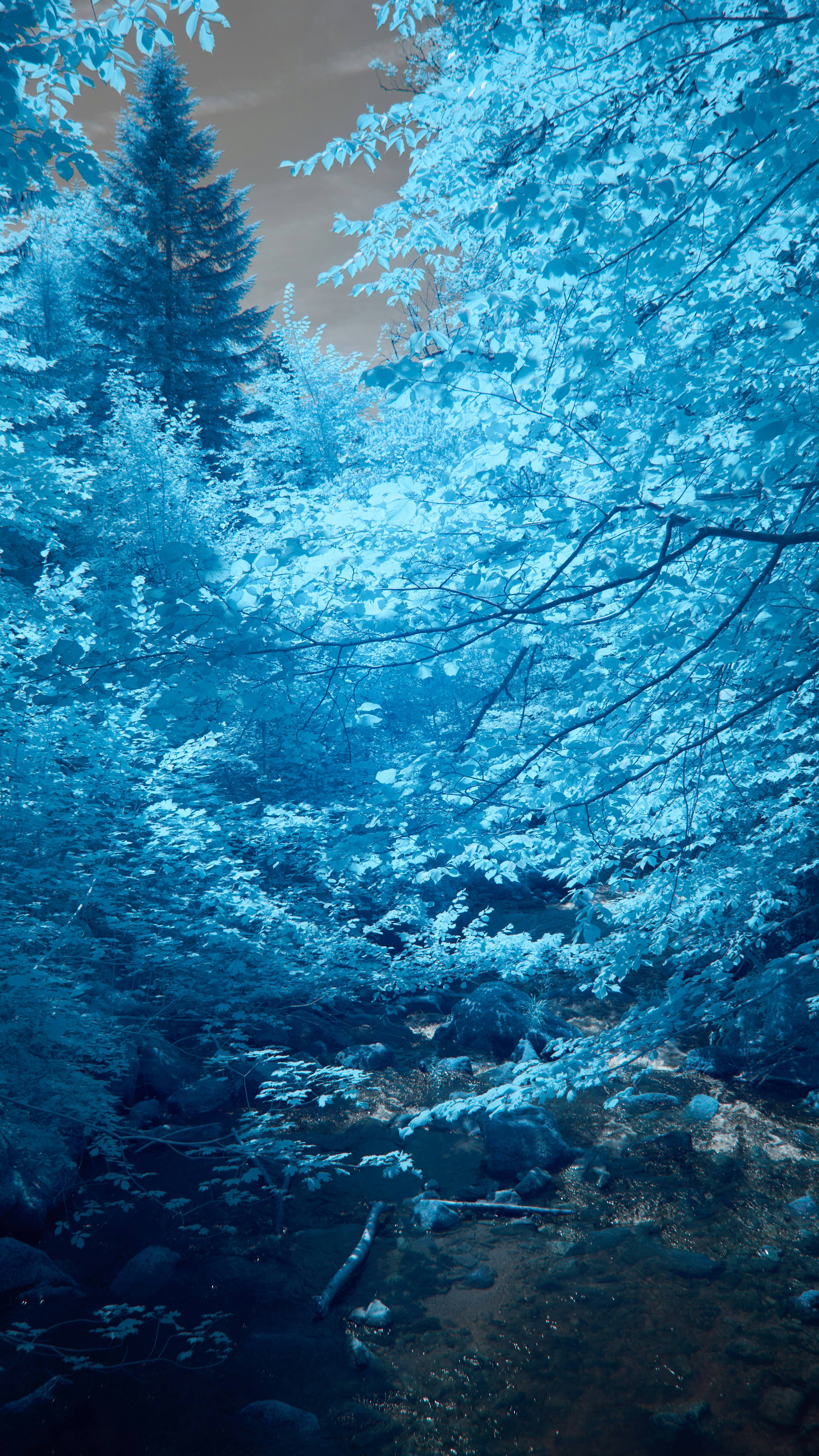Wallpapers