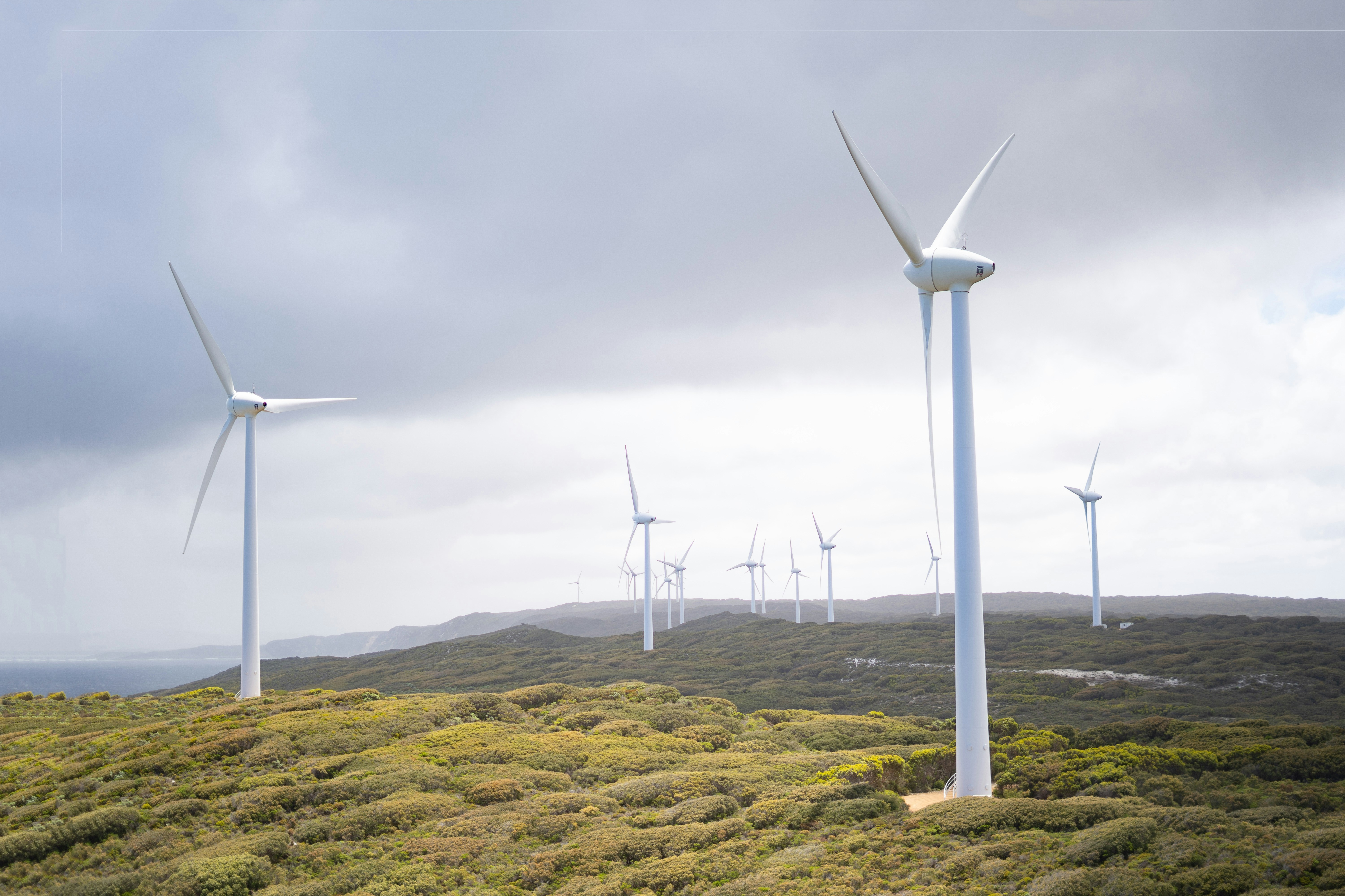Coastal Hills Wind Farm