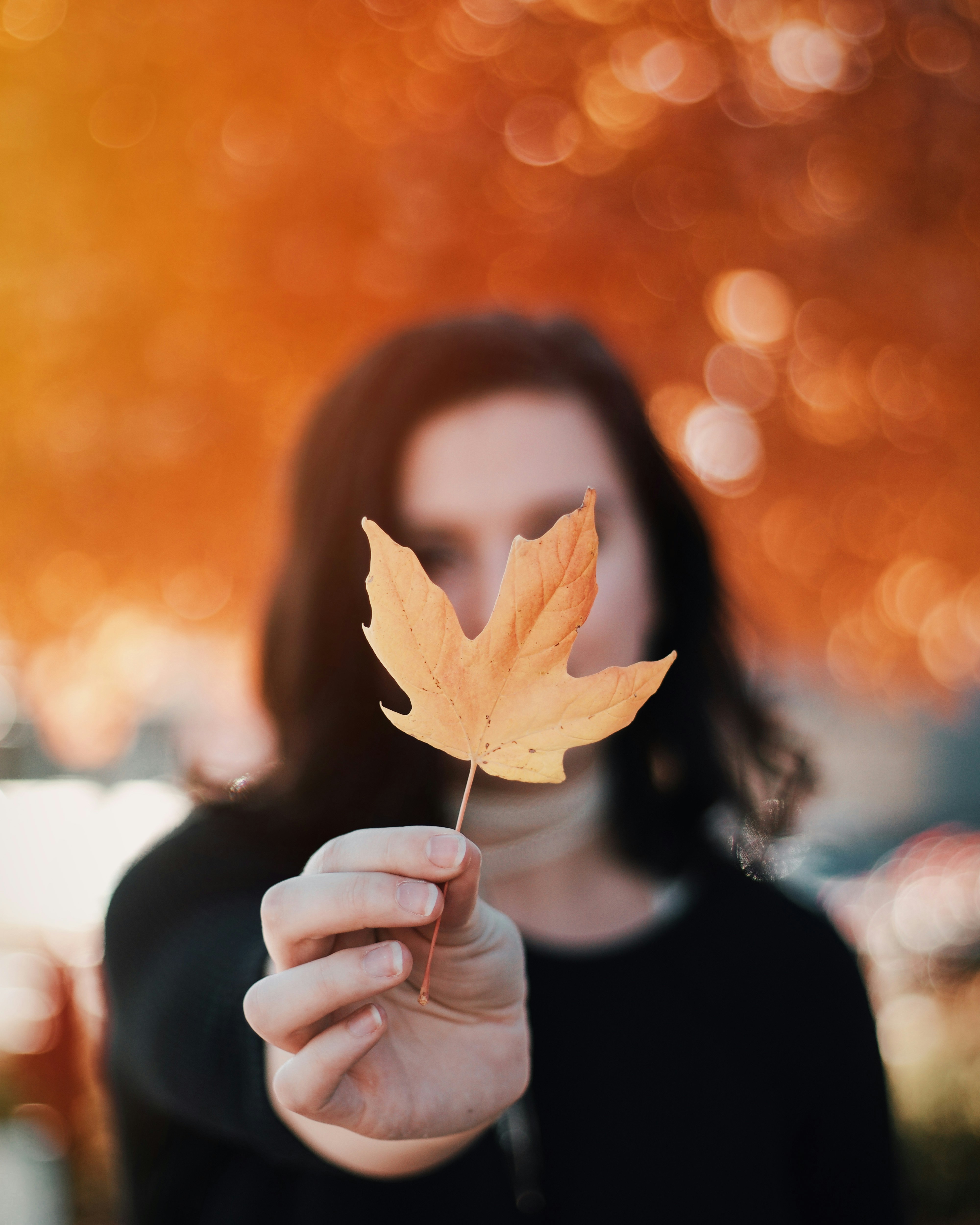 Hand Holding Autumn Maple Leaf