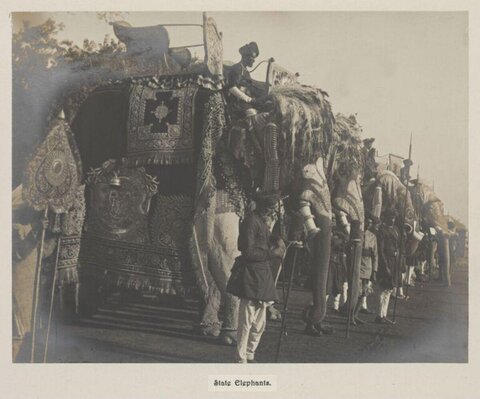 Vintage Photo of State Elephants