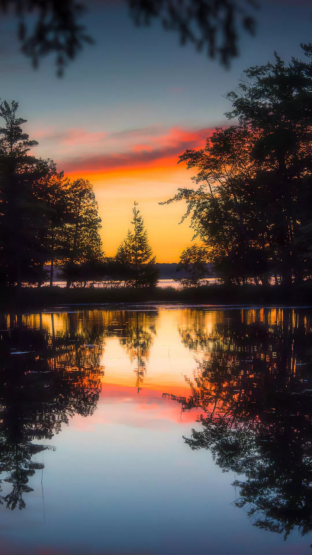 Landscapes