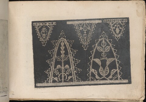 Antique Lace Pattern Print