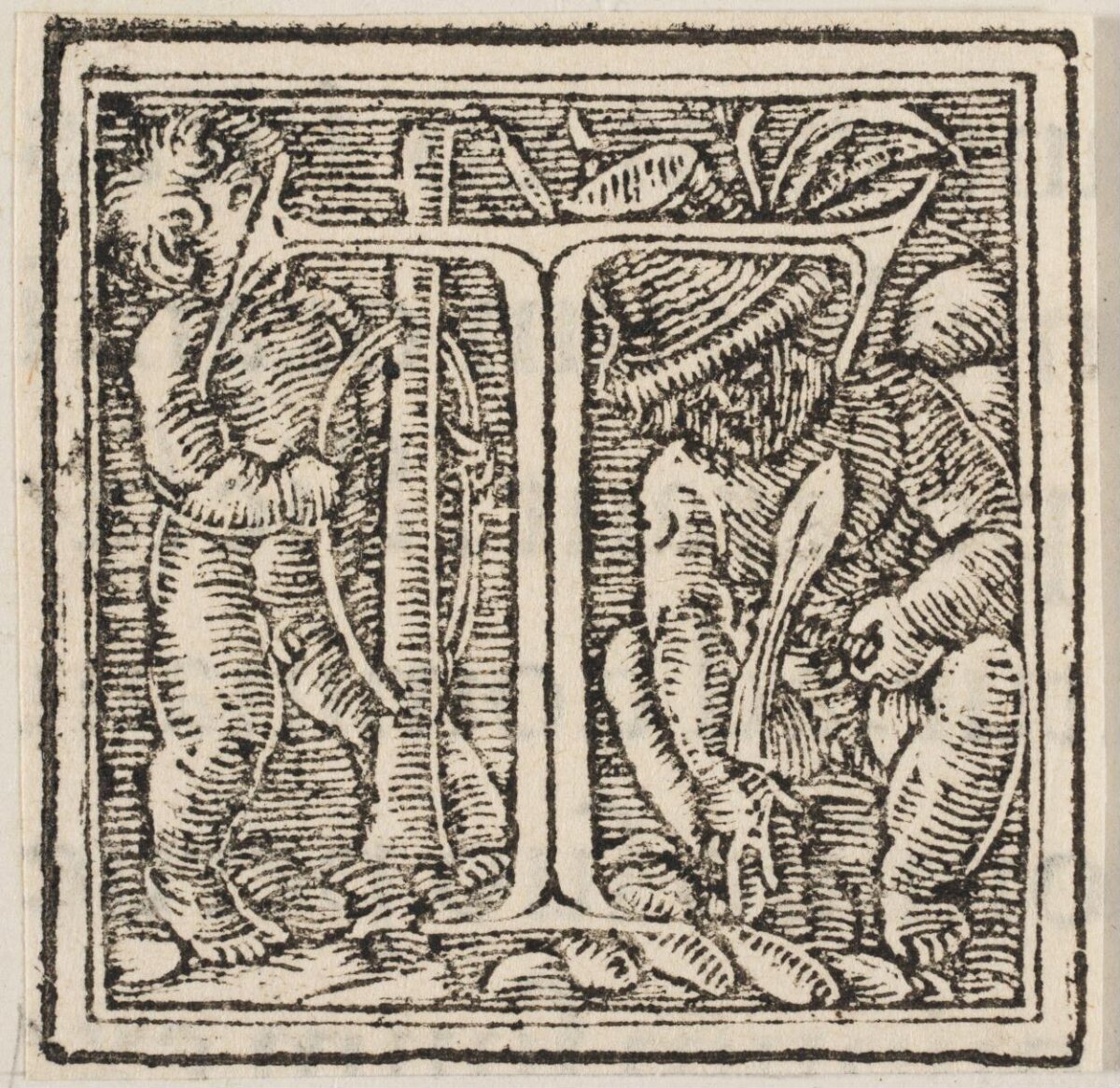 Ornamental Woodcut Initial N