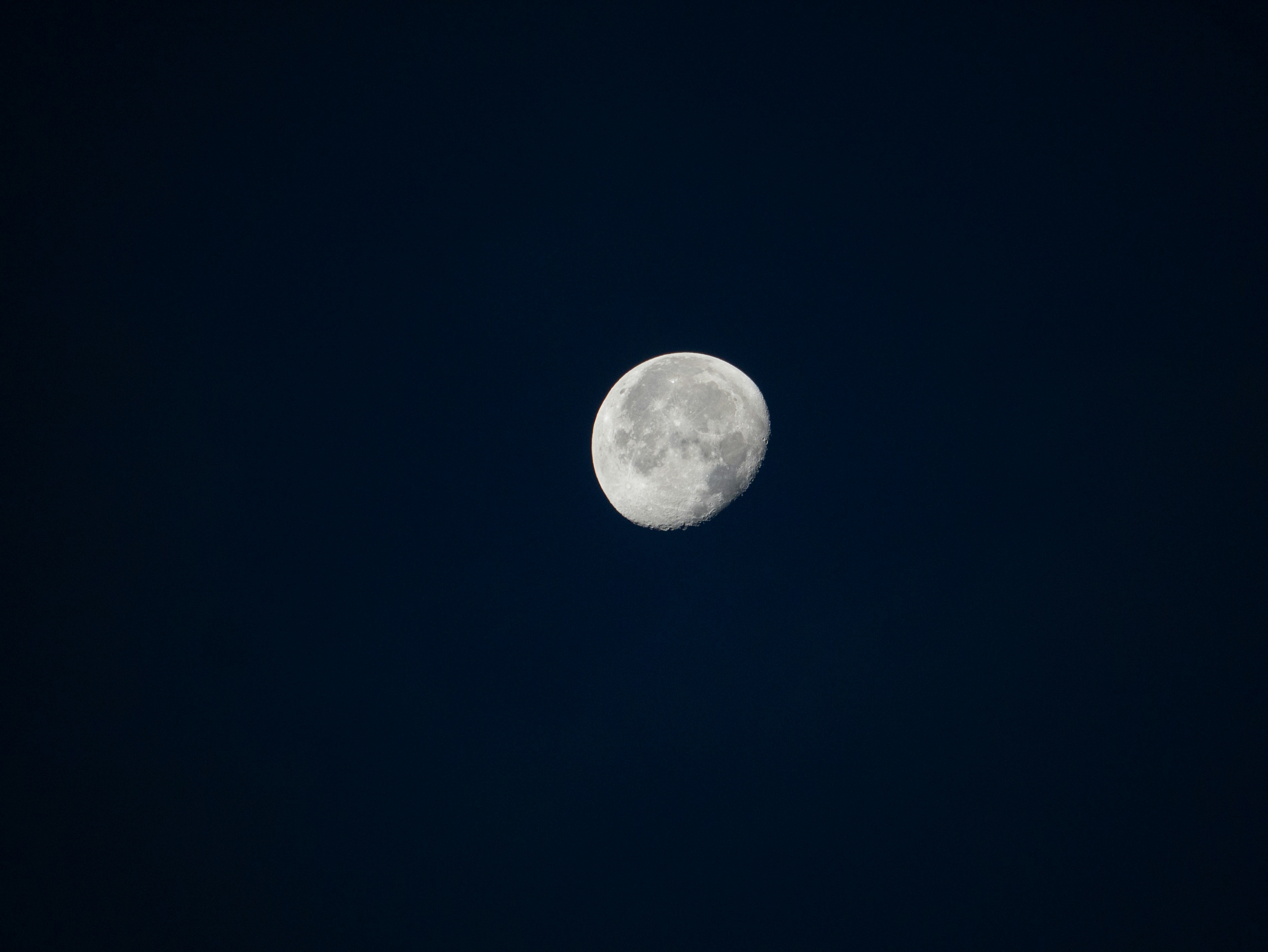 Gibbous Moon in Night Sky