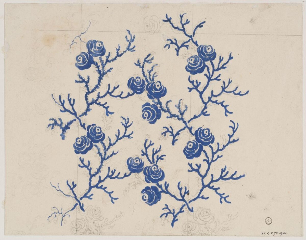 Blue Rose Branch Design Sketch