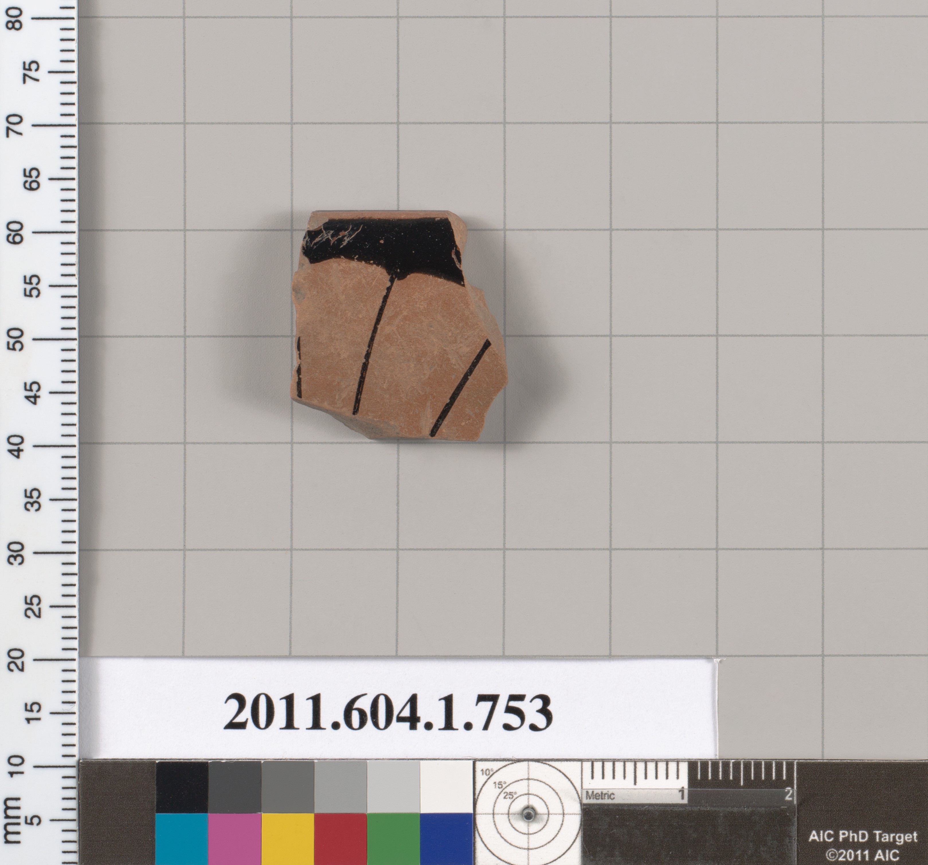 Archaeological Pottery Shard Specimen