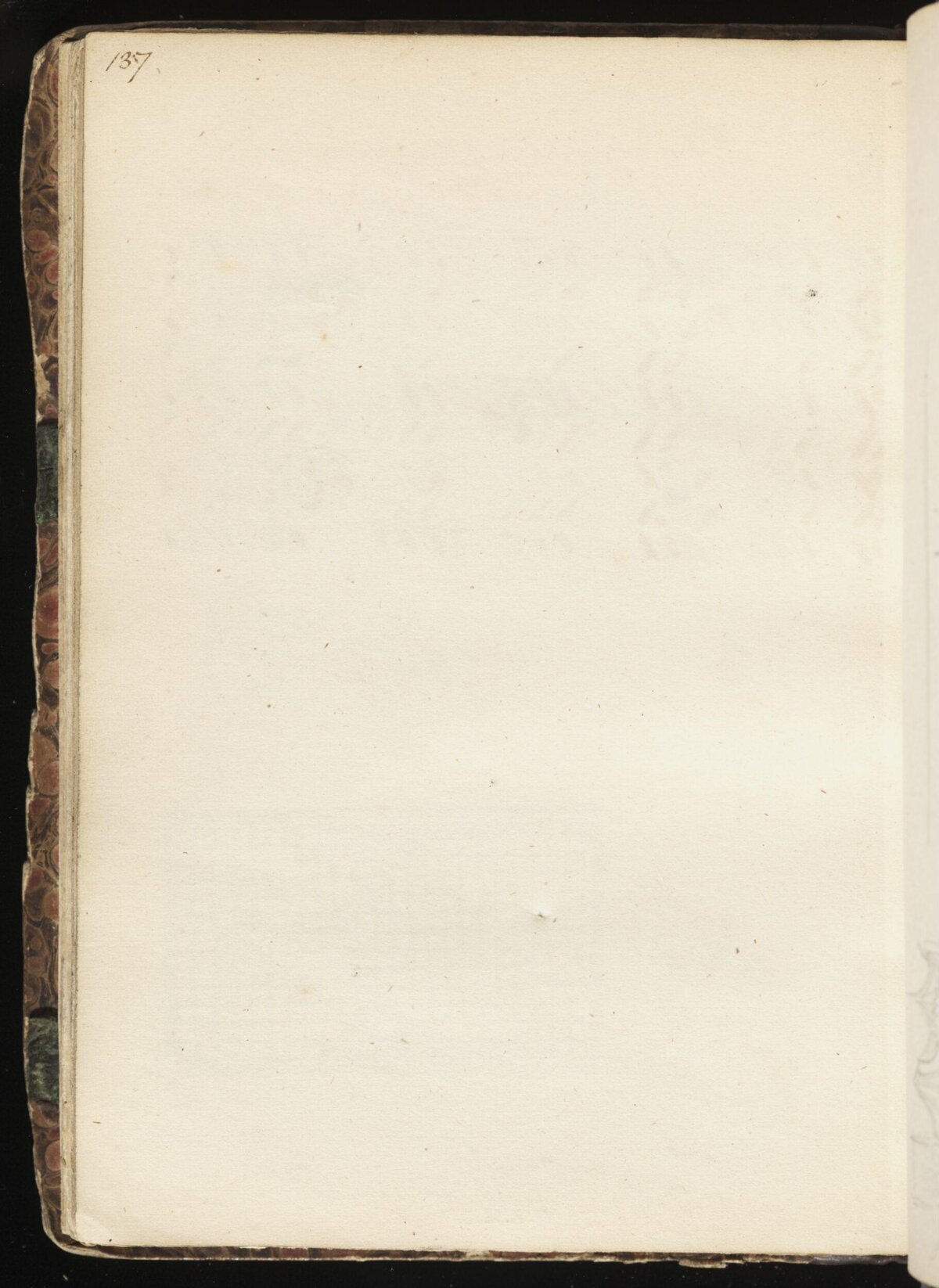 Blank Page 137 of an Old Book