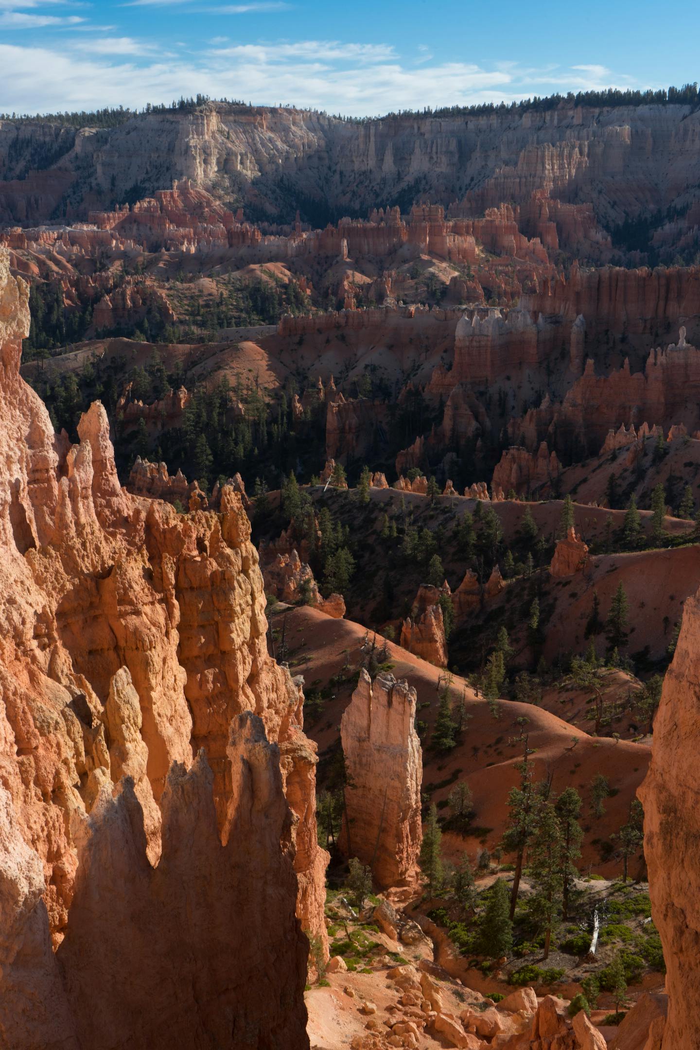 Bryce Canyon Hoodoo Landscape