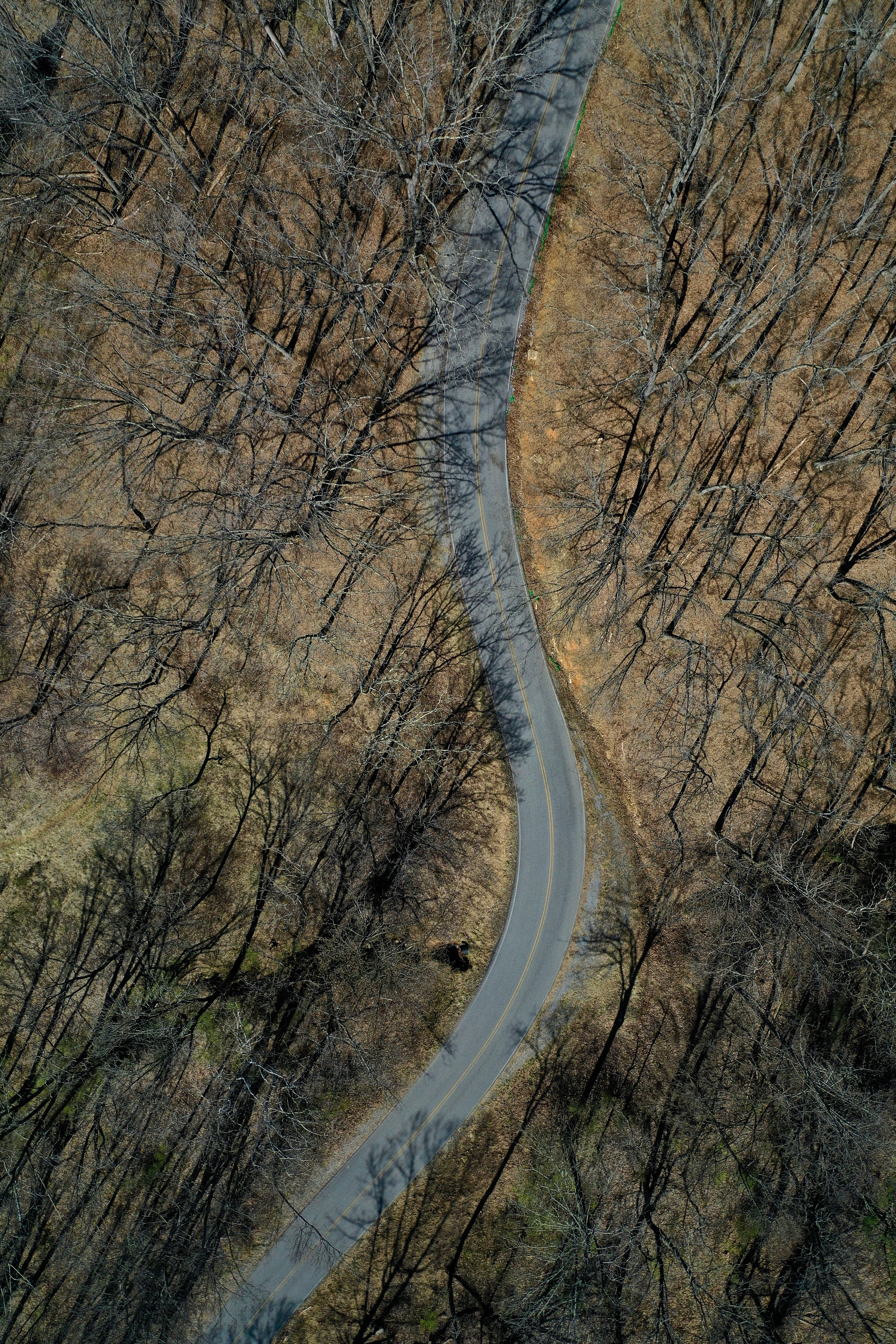 Aerial View of Winding Forest Road
