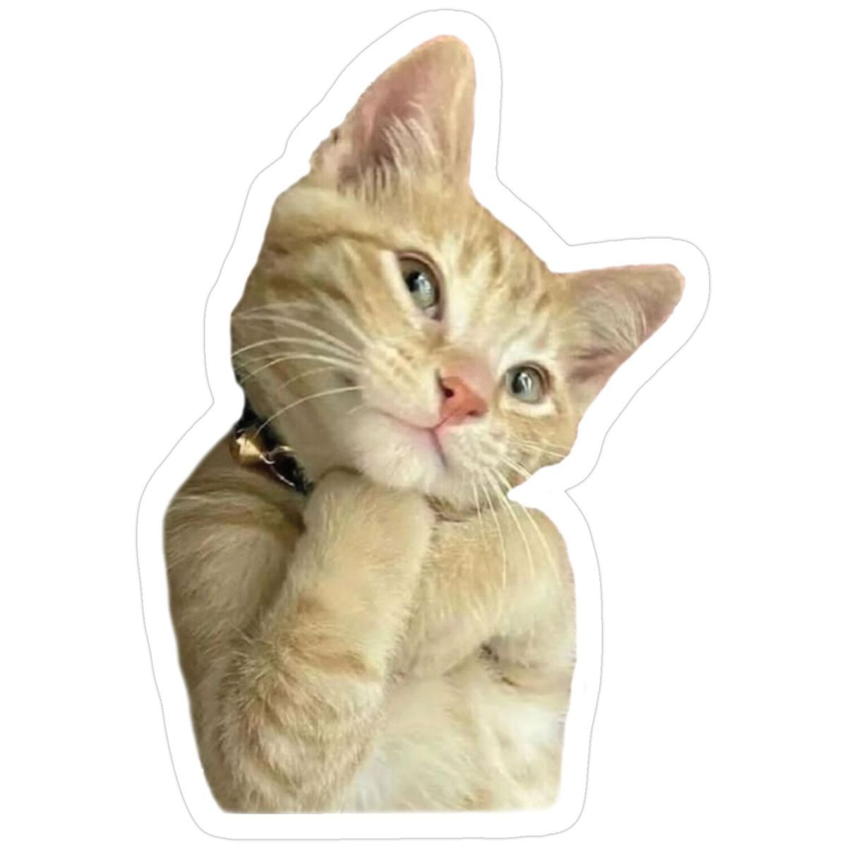 Thinking Orange Tabby Kitten