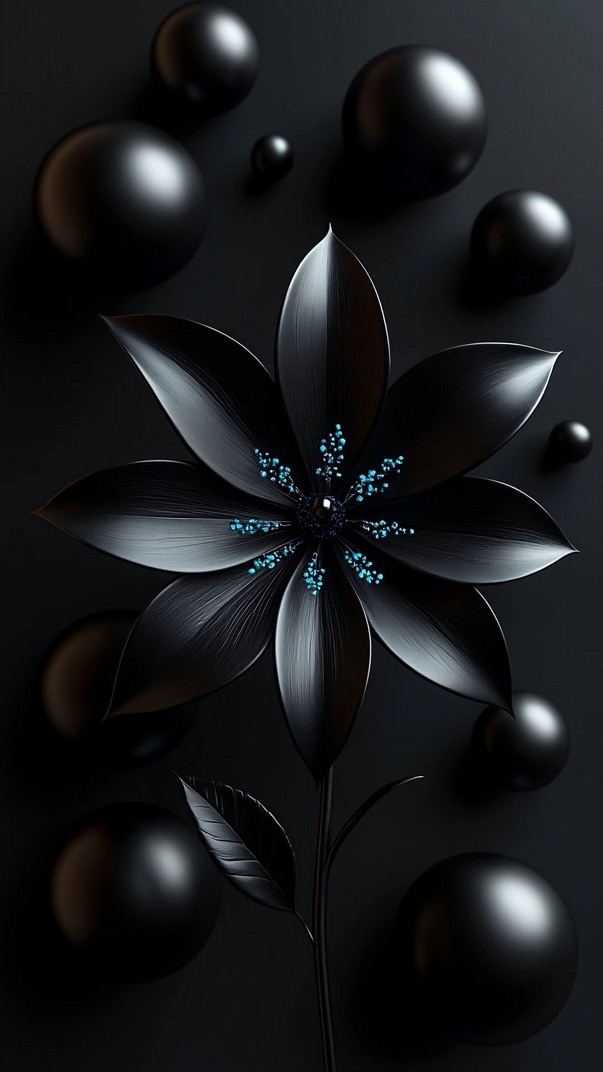 Wallpapers
