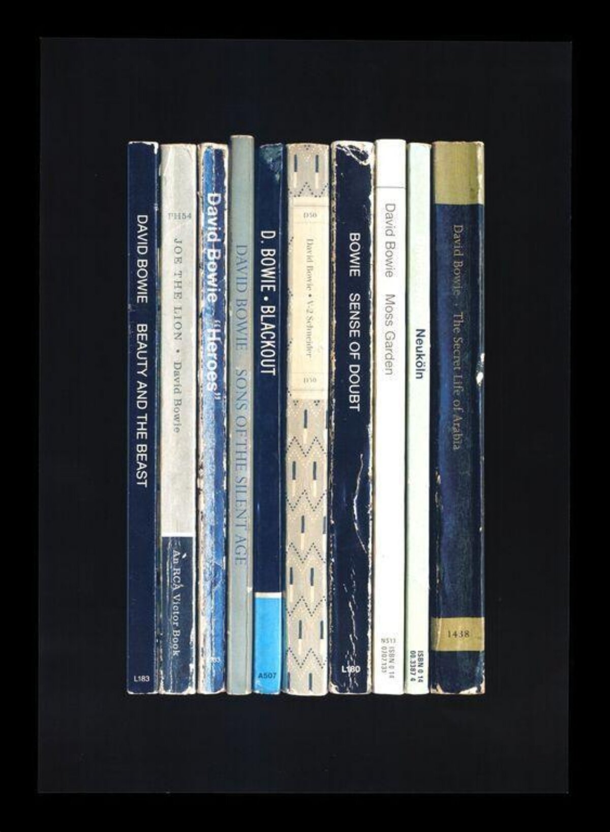 Collection of David Bowie Books