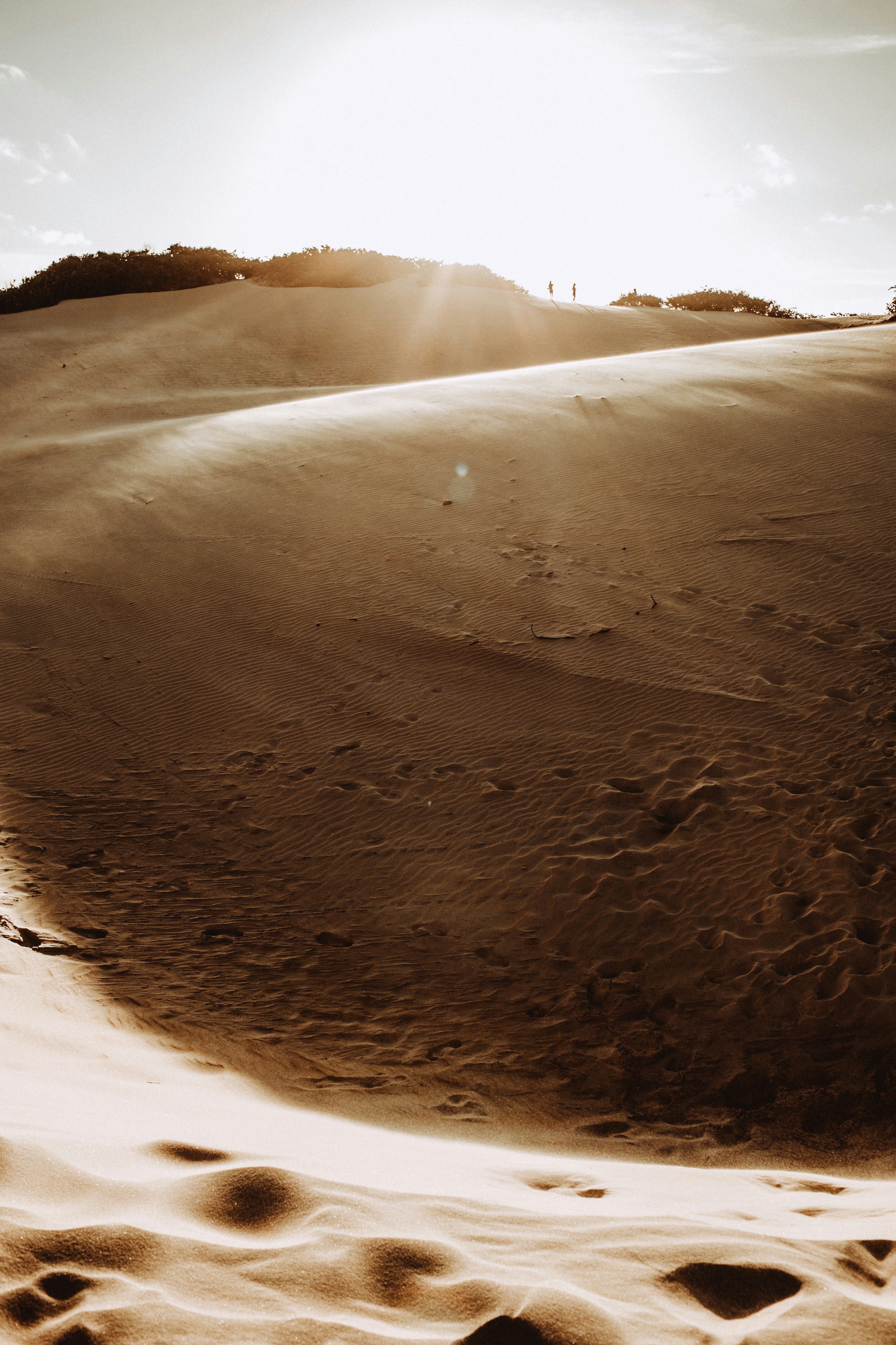 Sunlit Desert Sand Dunes