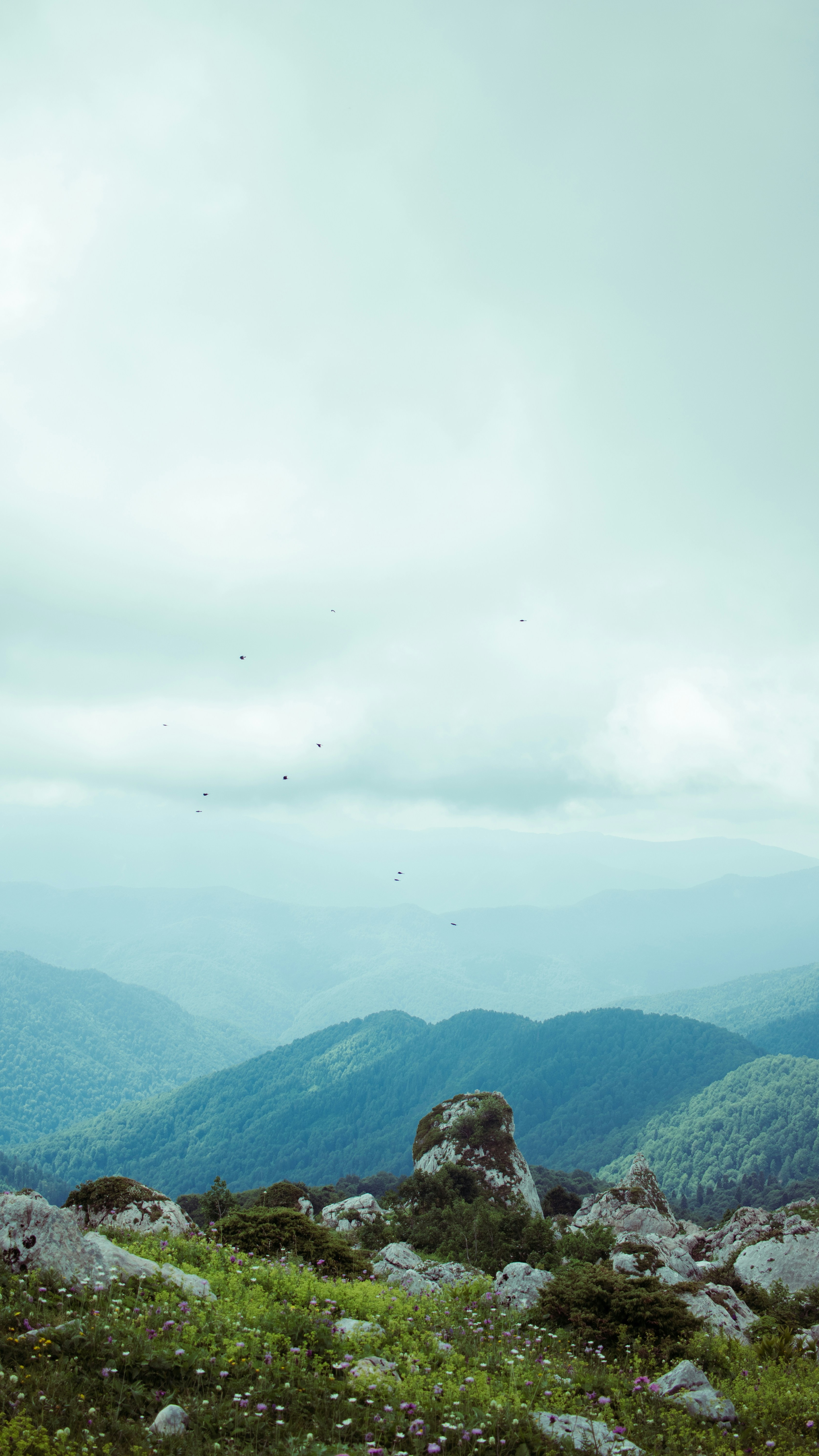 Wallpapers