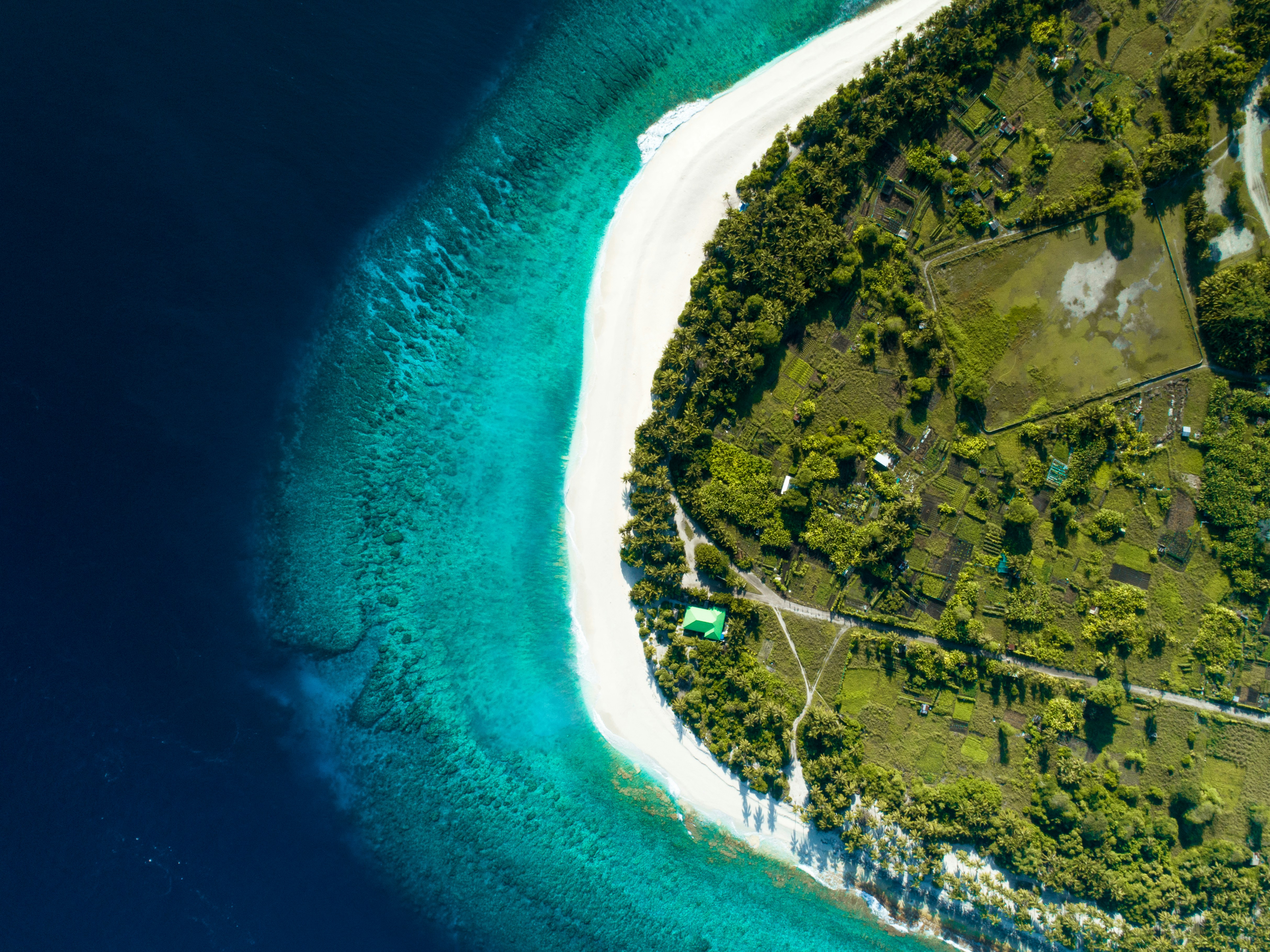 Aerial View of Tropical Island Beach