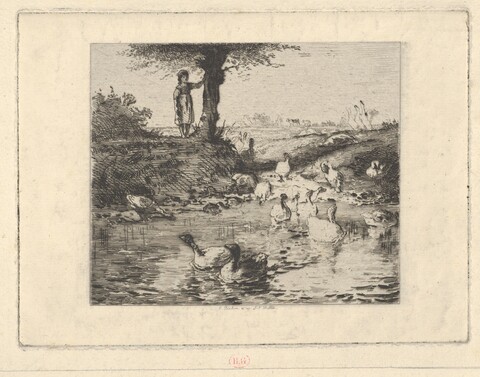 Girl Watching Geese at Pond